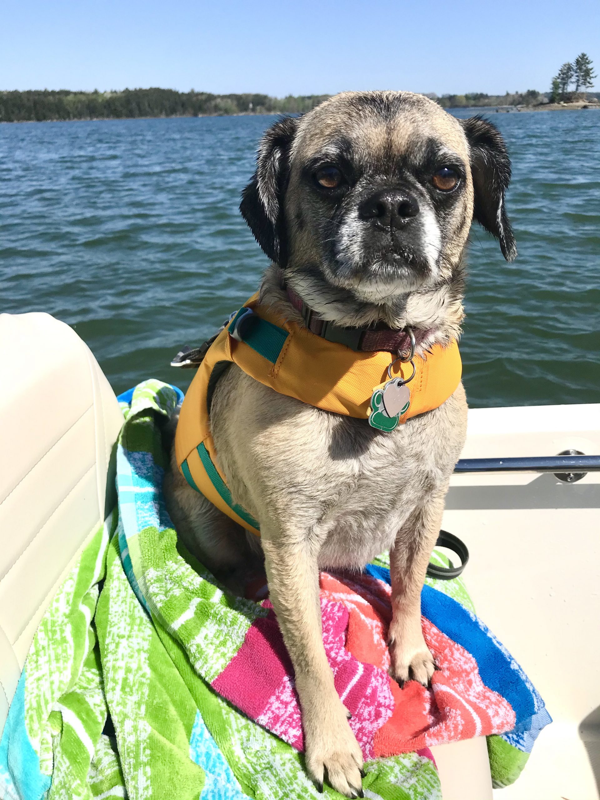 Bits and Bobs for June 1st, 2021