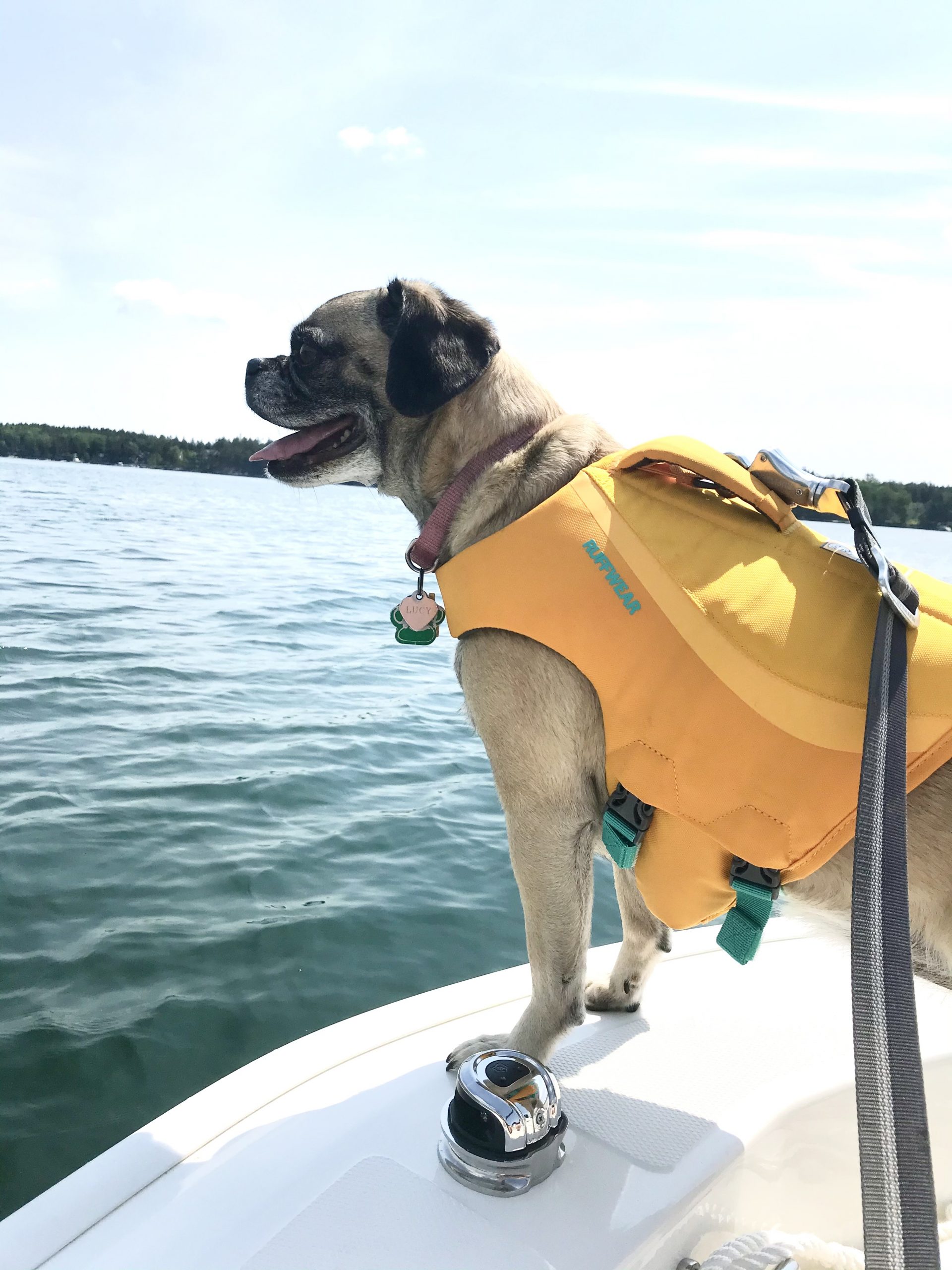 My Big List of Things I’m Going to Do in 2021 – Week 24 of 52