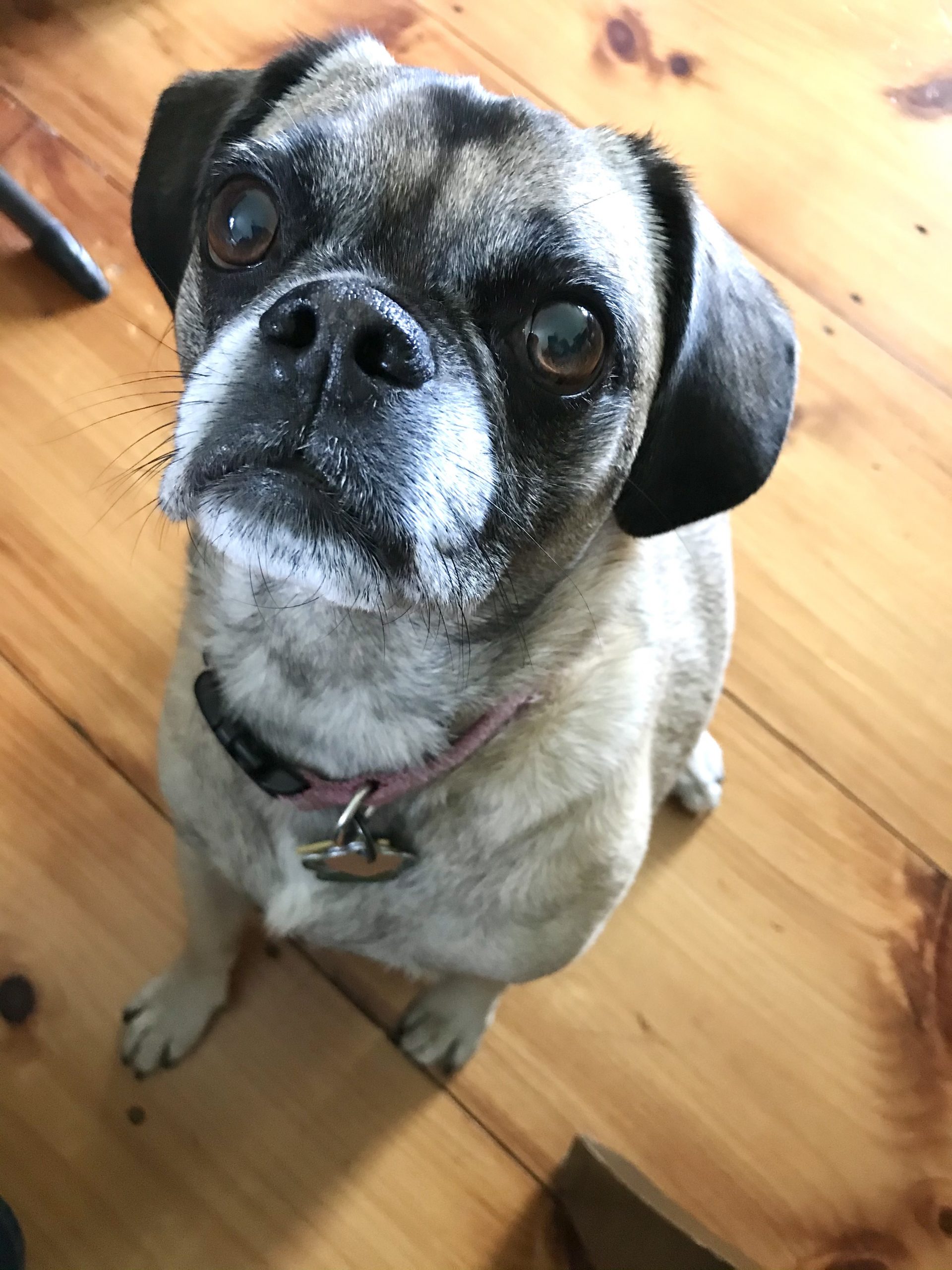 One Hundred Dollars a Month – Mavis’ Weekly Highlights 6/5/2021