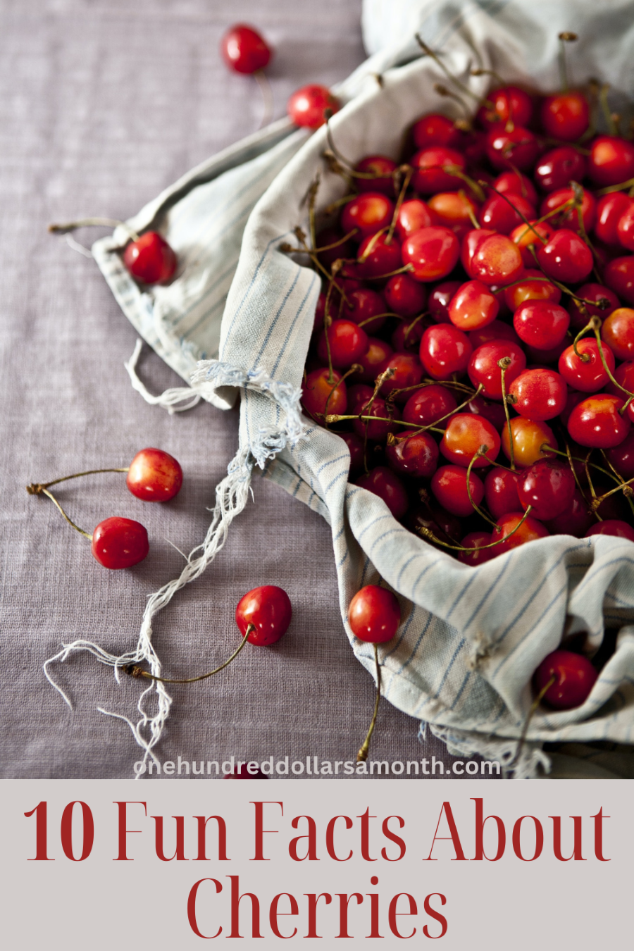 10 Fun Facts About Cherries
