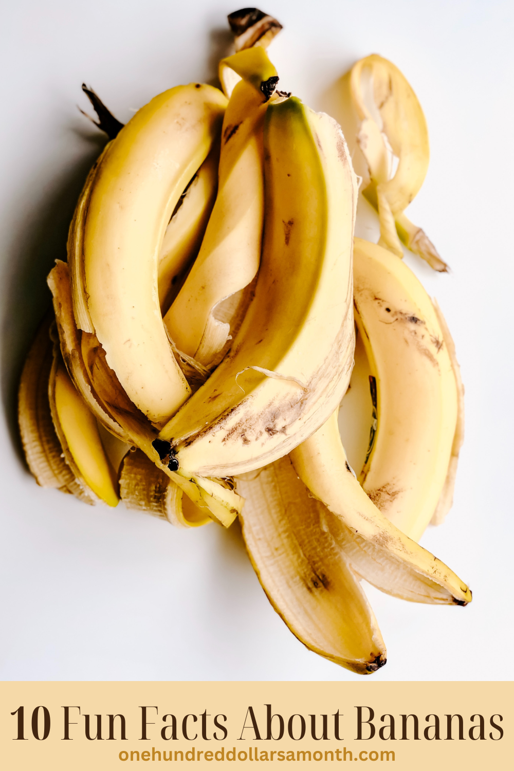 10 Fun Facts About Bananas