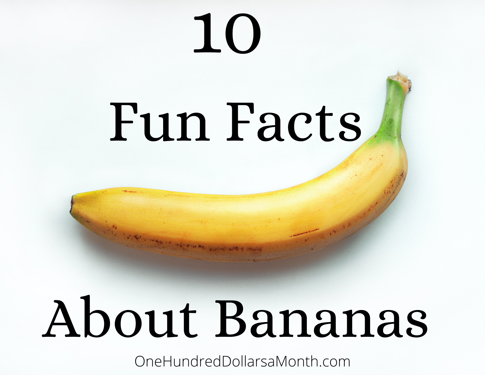 10 Fun Facts About Bananas