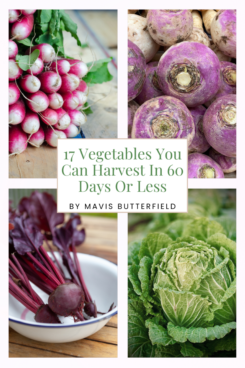 17 Vegetables You Can Harvest In 60 Days Or Less
