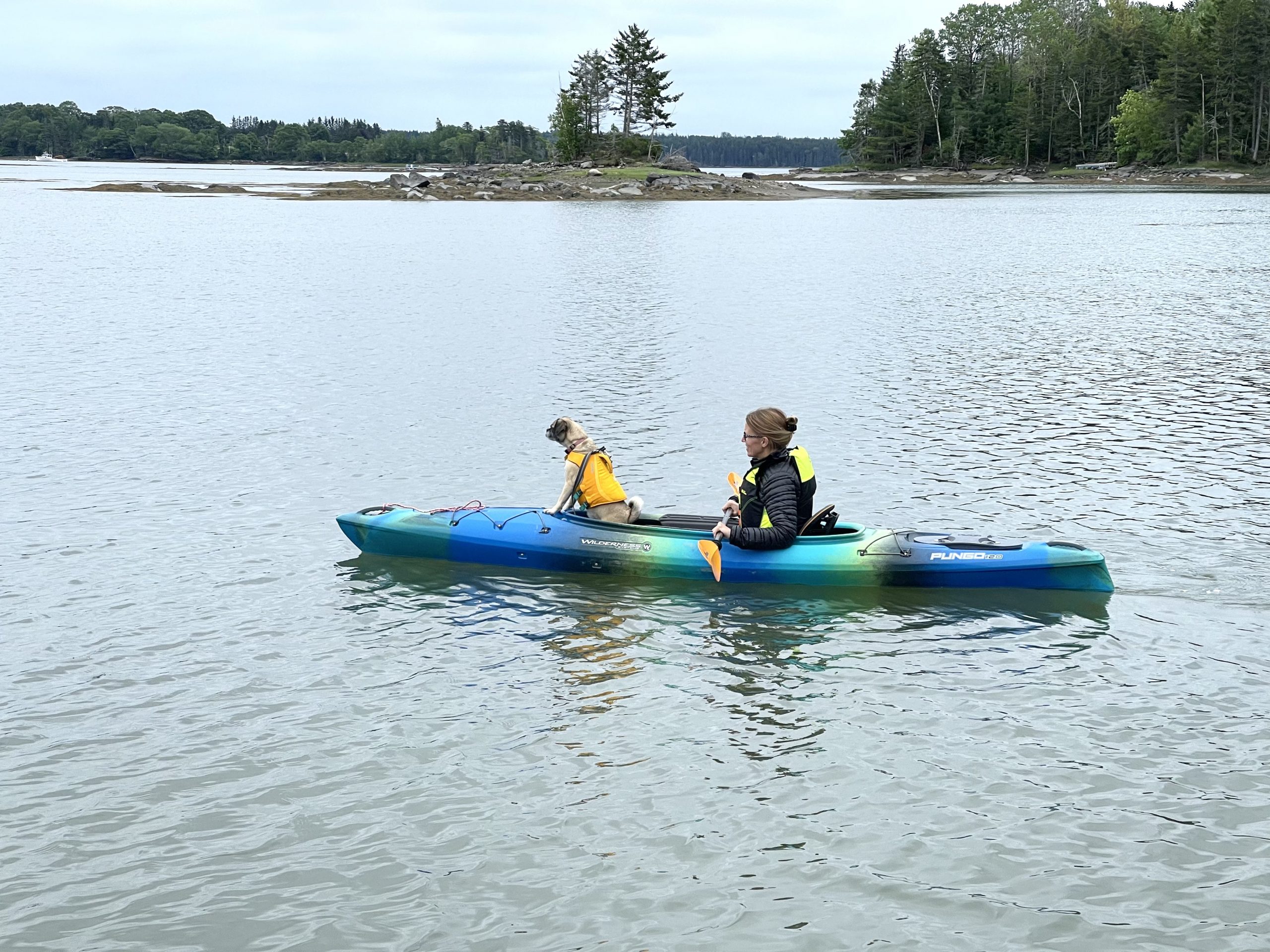 My Big List of Things I’m Going to Do in 2021 – Week 27 of 52