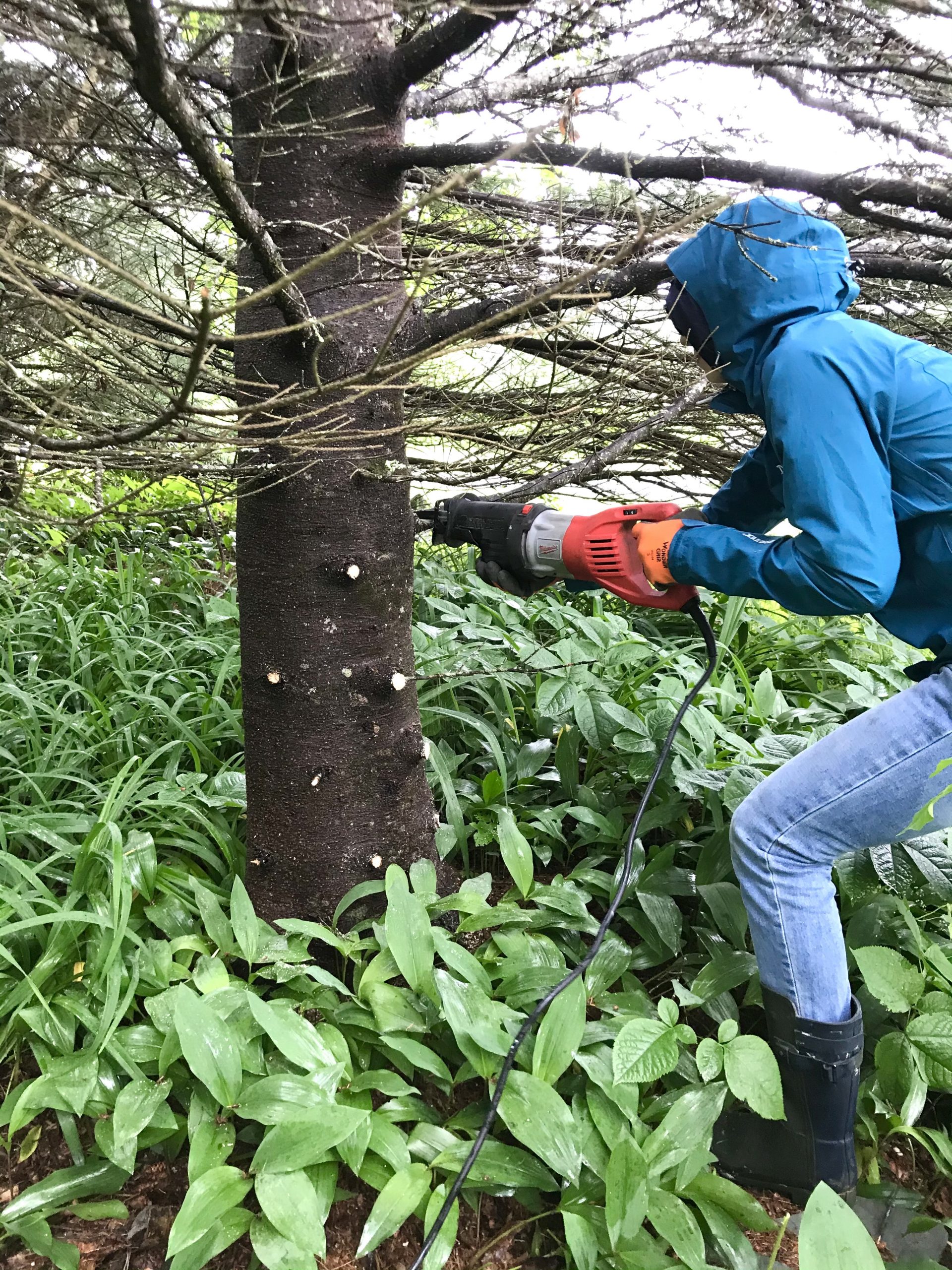 Working In The Yard… And Other Stuff