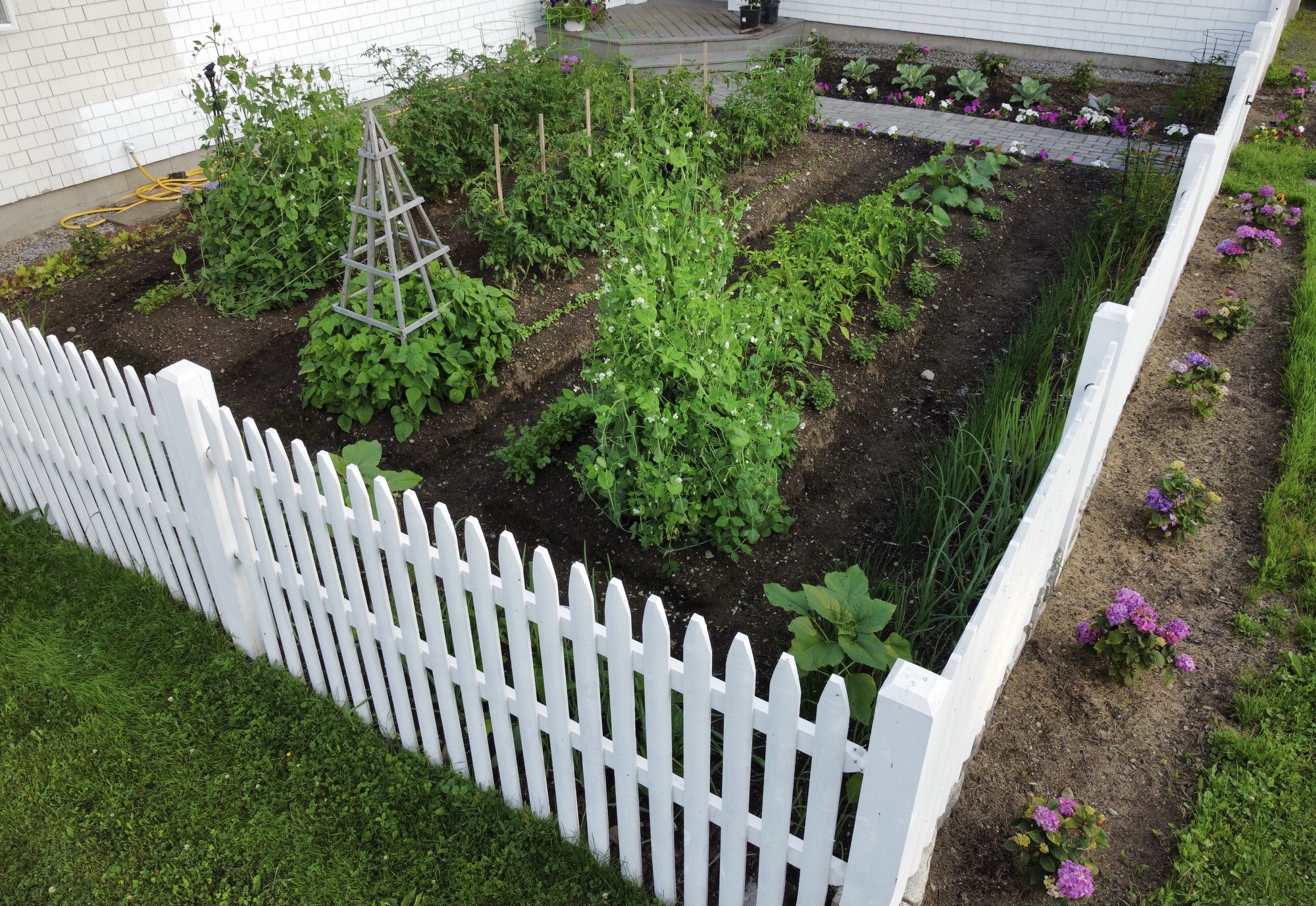 Gardening In Mid Coast Maine – Planting Zone 6a – Early July