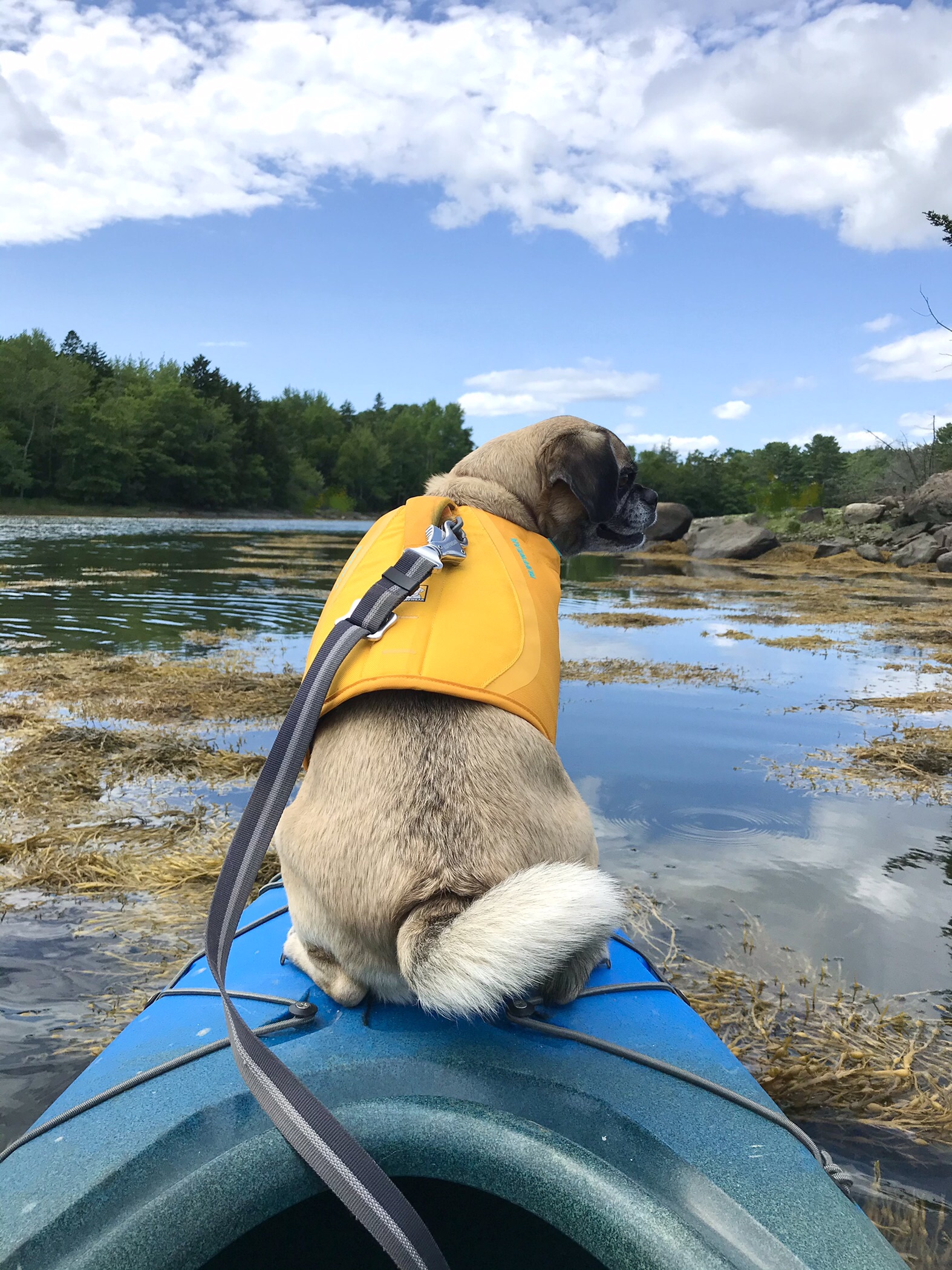 My Big List of Things I’m Going to Do in 2021 – Week 28 of 52