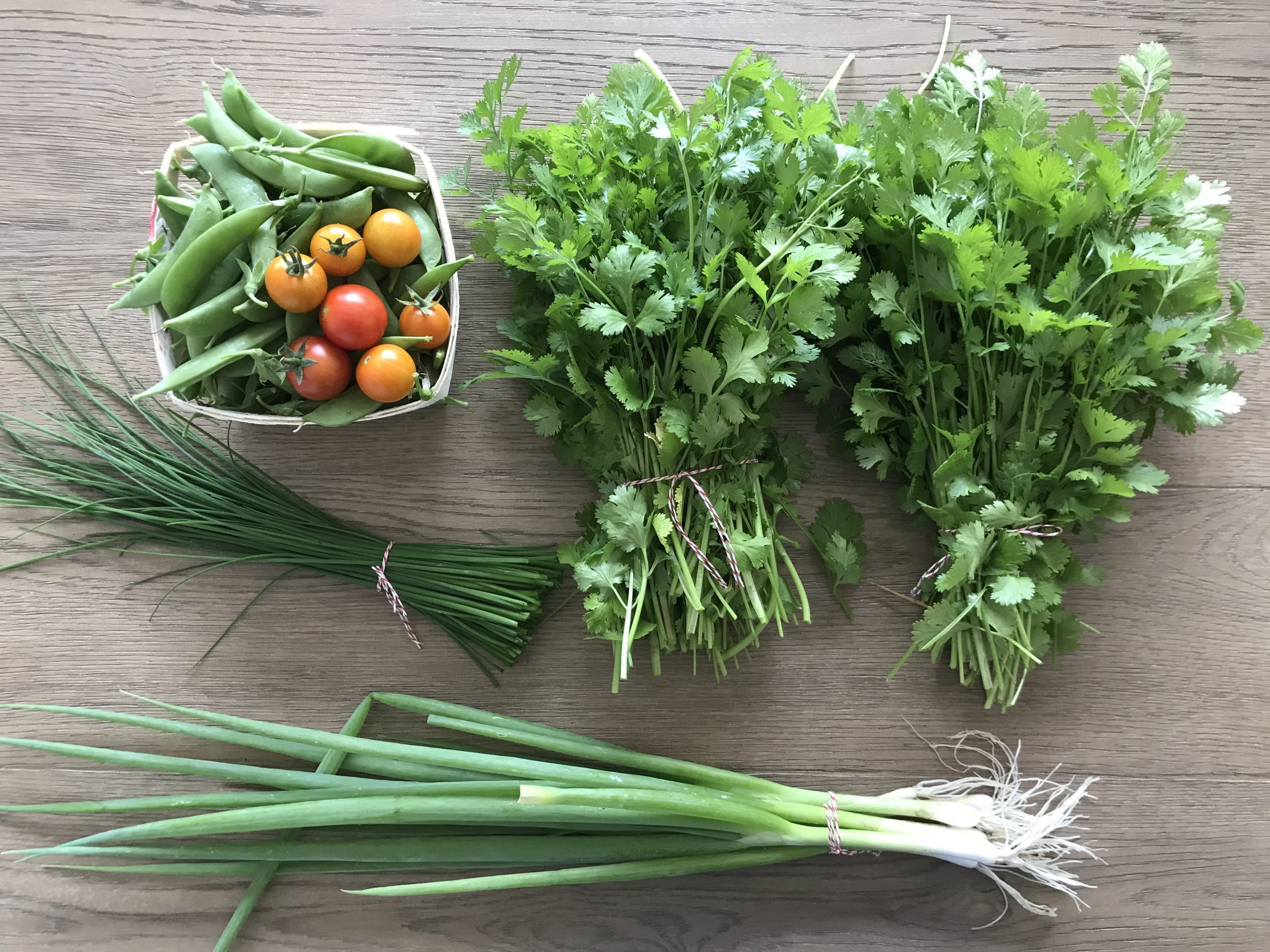 My Big List of Things I’m Going to Do in 2021 – Week 29 of 52