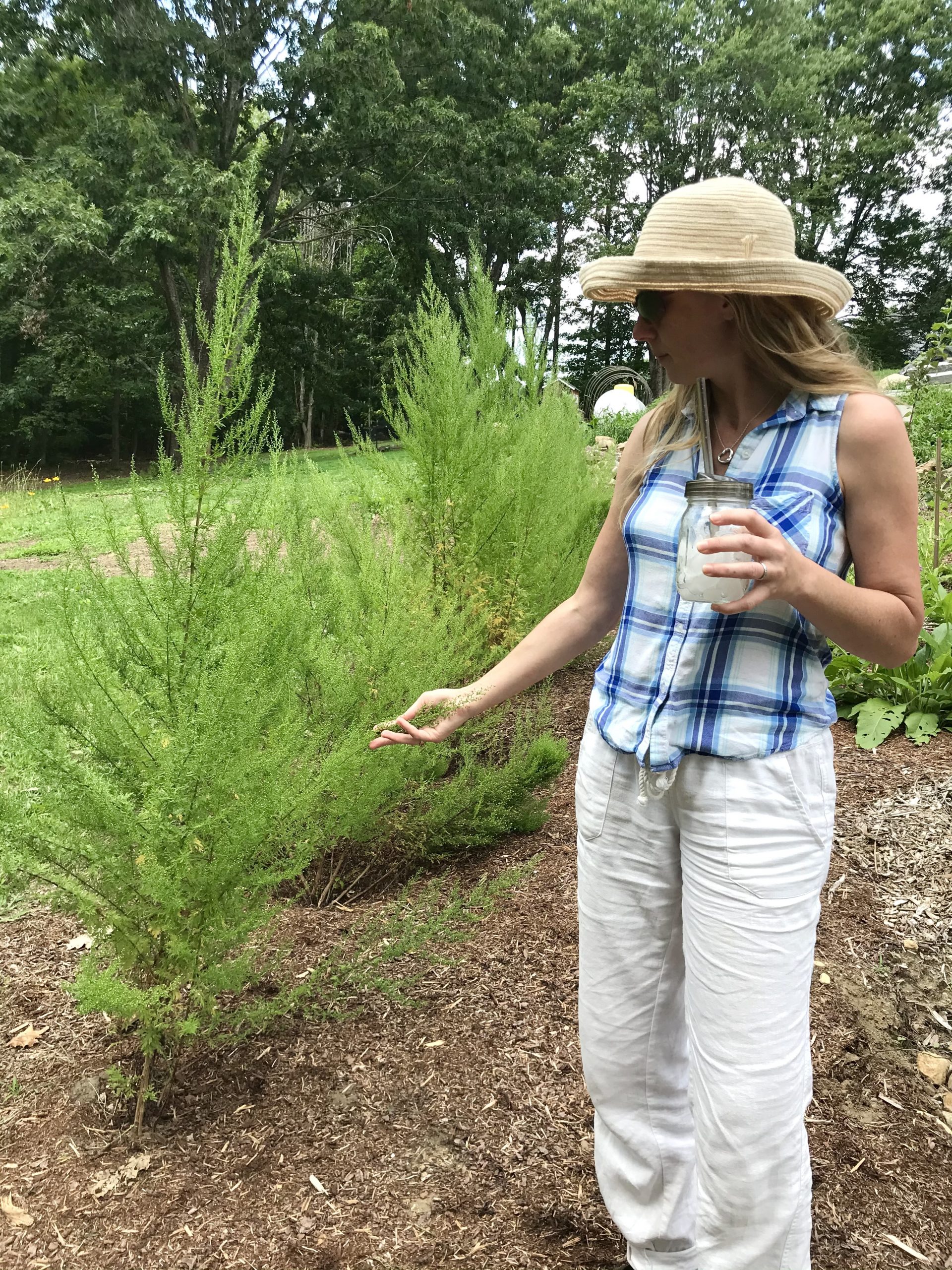 Heather Shares Photos of Her New Backyard Garden