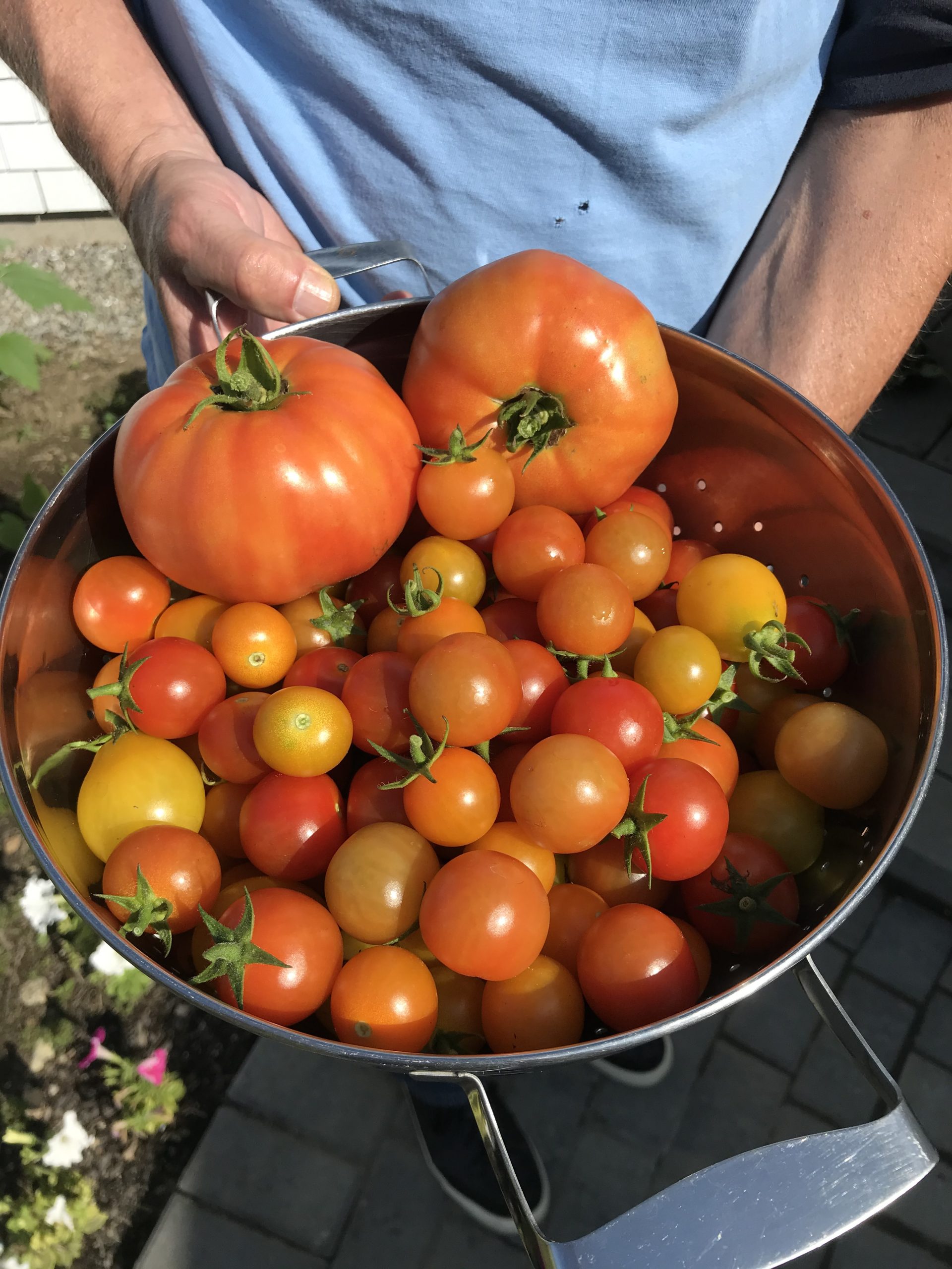 One Hundred Dollars a Month – Mavis’ Weekly Highlights 8/21/2021