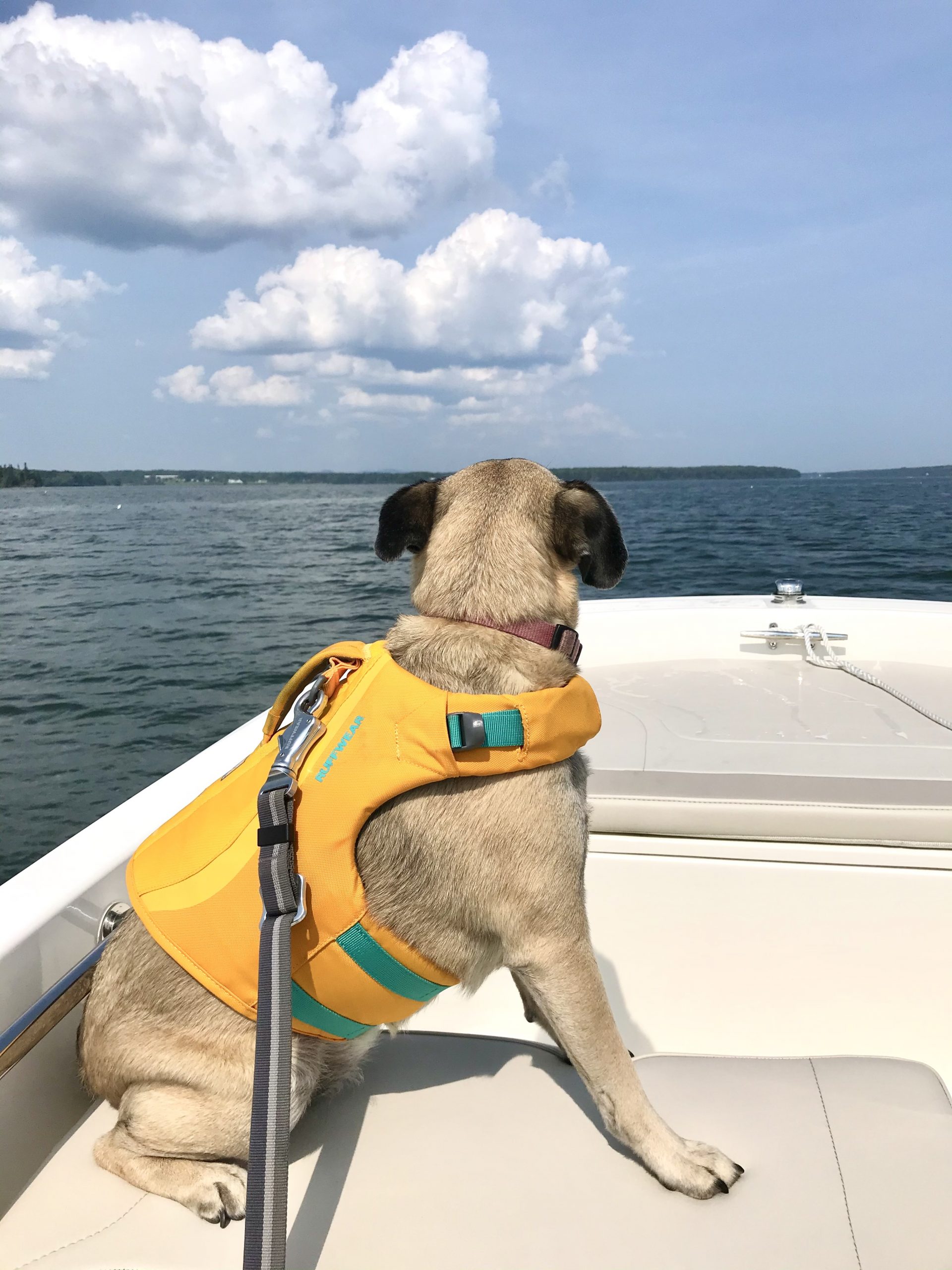 My Big List of Things I’m Going to Do in 2021 – Week 35 of 52