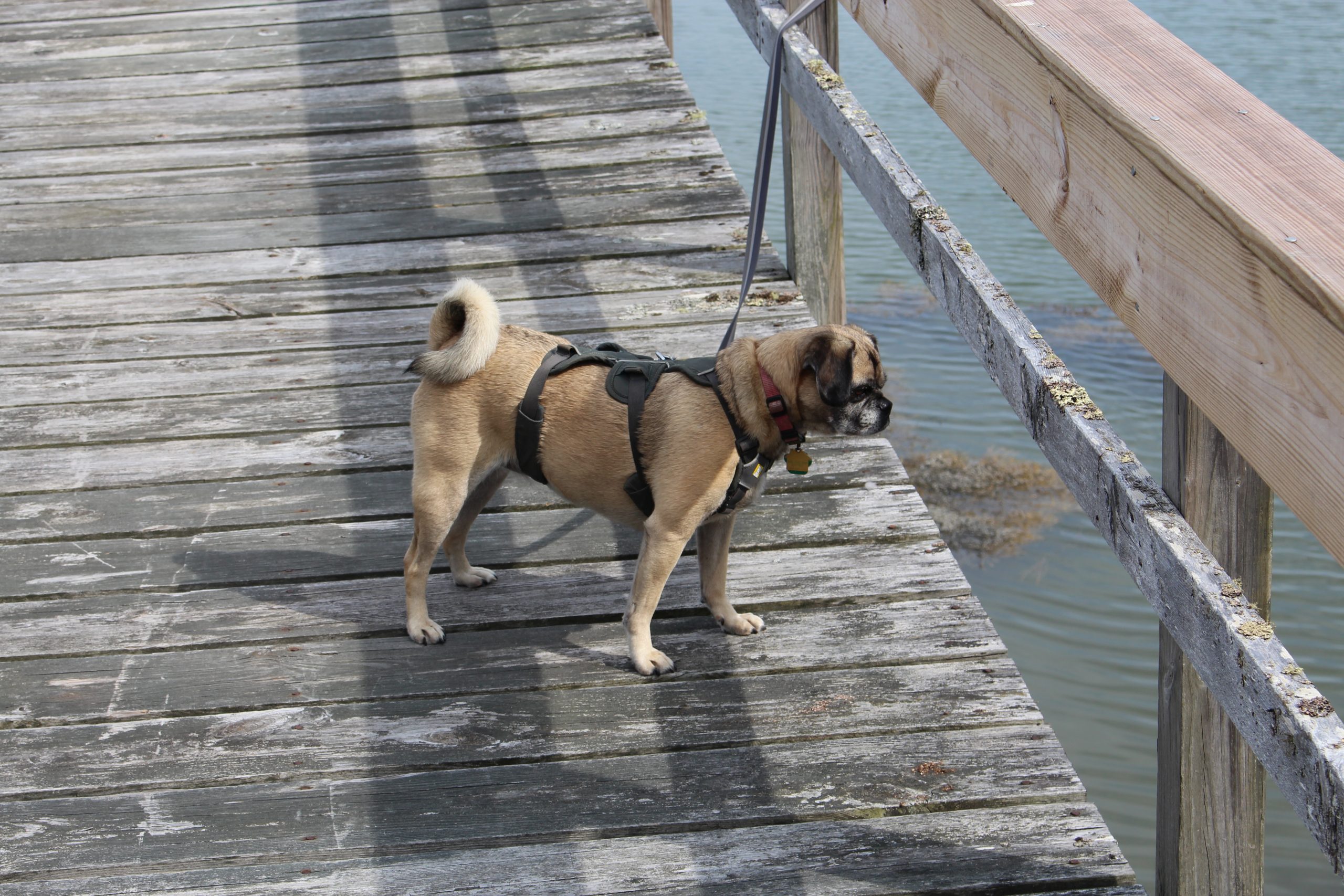 My Big List of Things I’m Going to Do in 2021 – Week 34 of 52