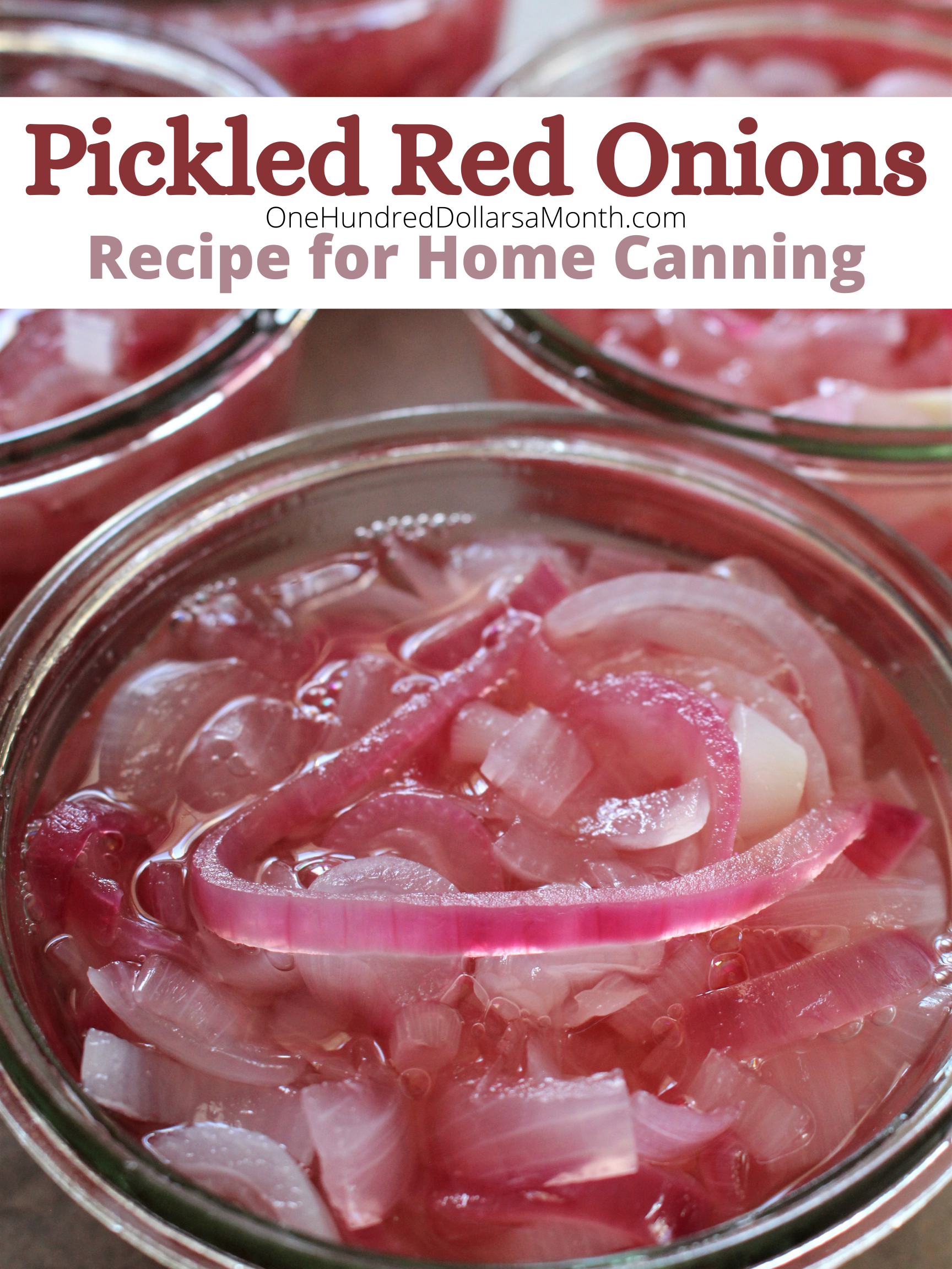 Canning Recipe for Pickled Red Onions {No Funky Spices}