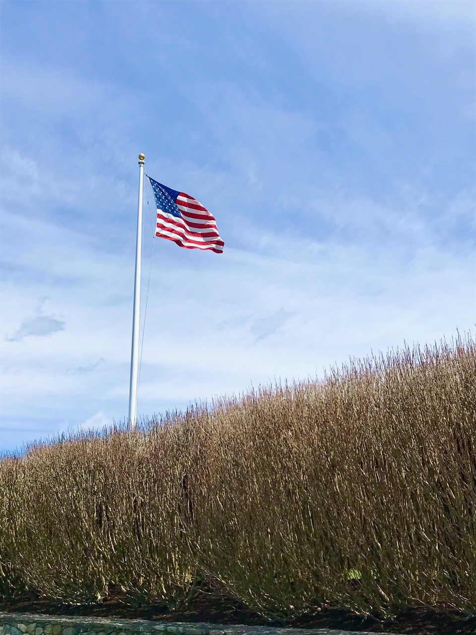 One Hundred Dollars a Month – Mavis’ Weekly Highlights 9/11/2021