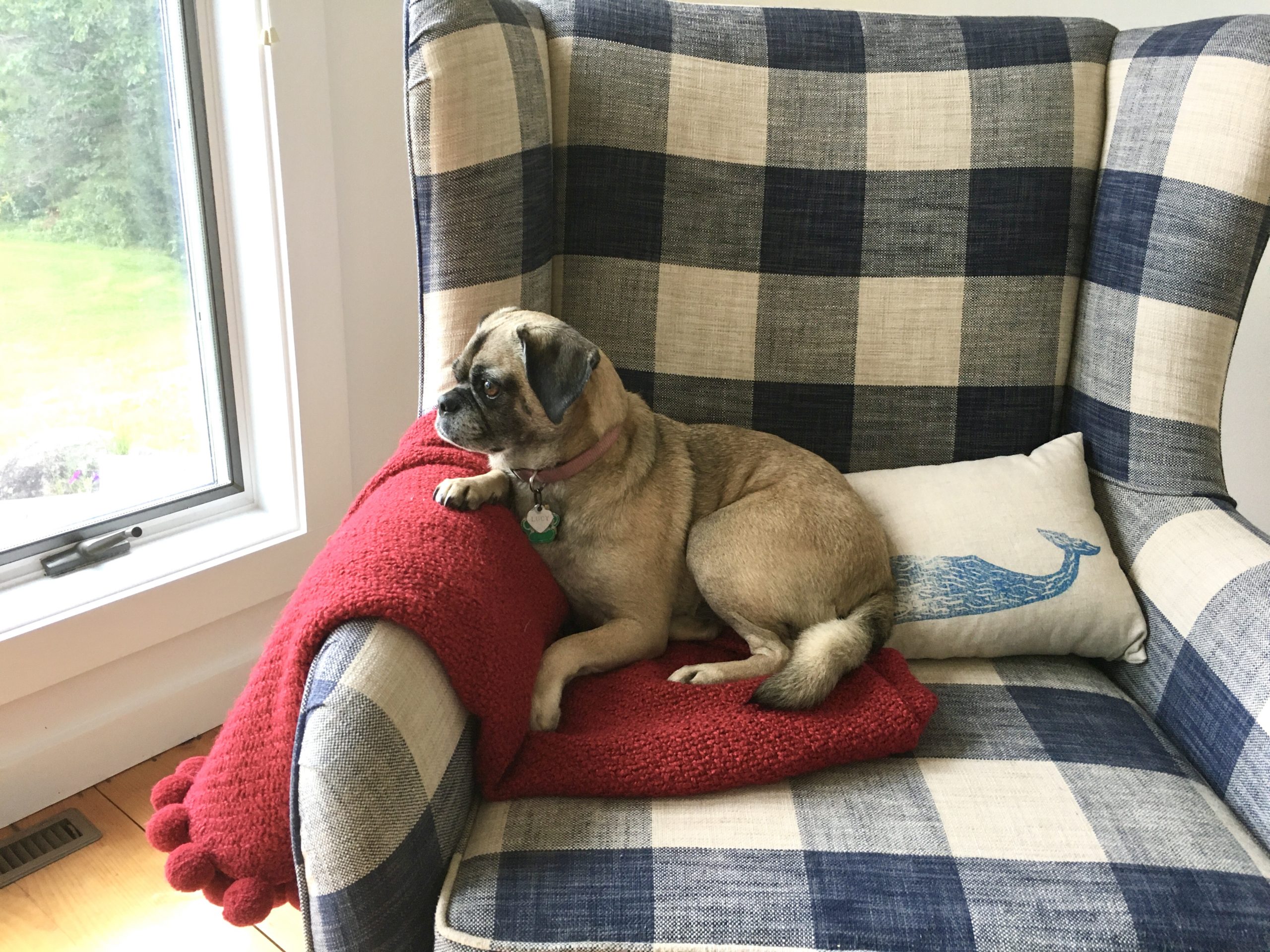 One Hundred Dollars a Month – Mavis’ Weekly Highlights 9/4/2021