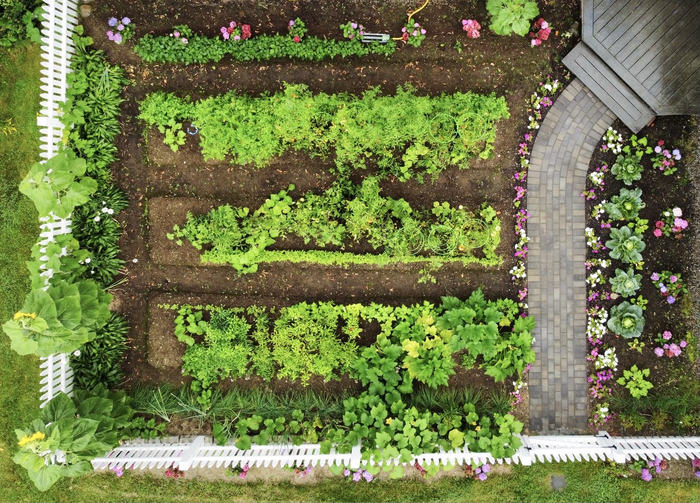 Gardening In Mid Coast Maine – Planting Zone 6a – Early September