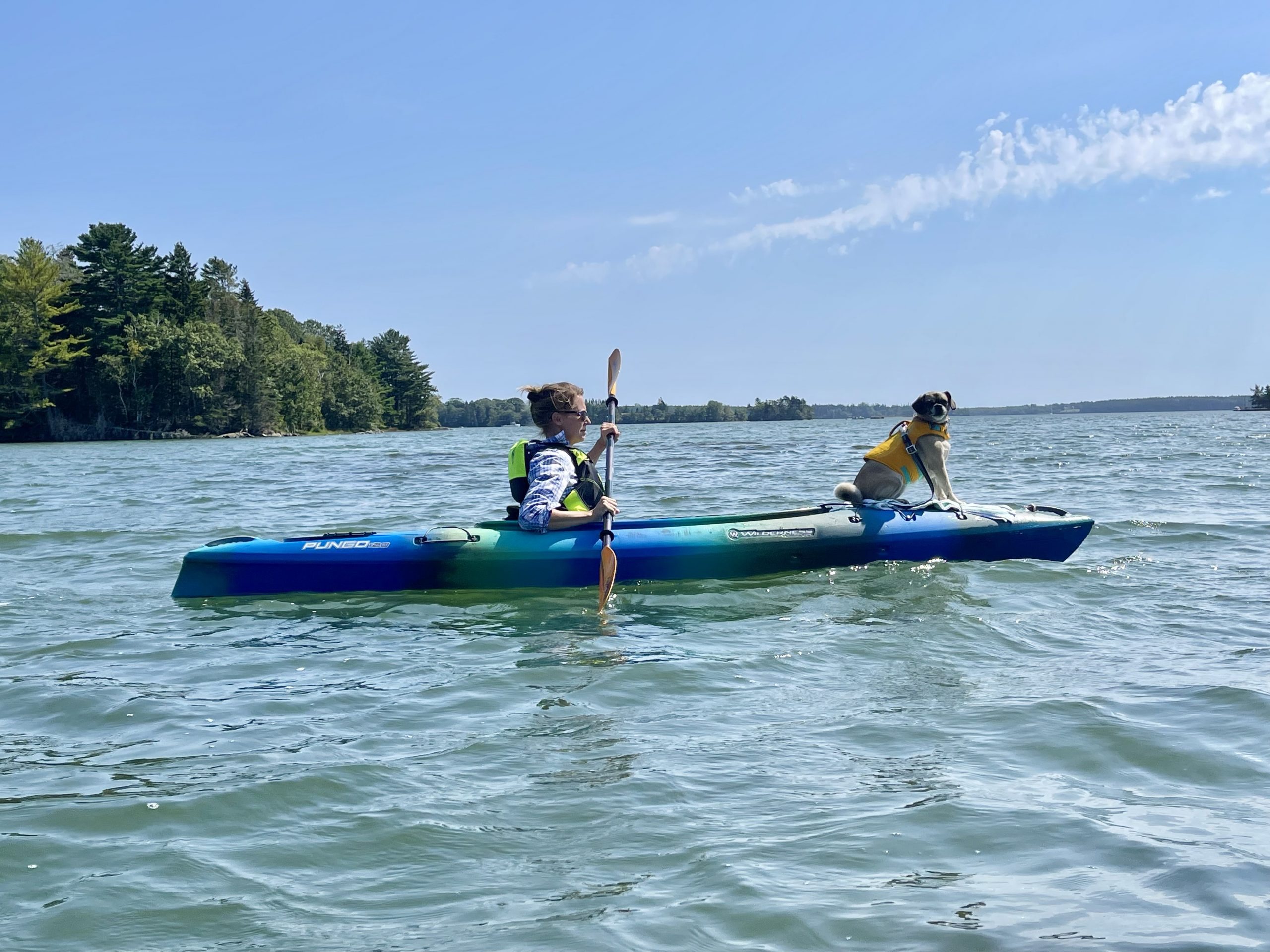 My Big List of Things I’m Going to Do in 2021 – Week 37 of 52