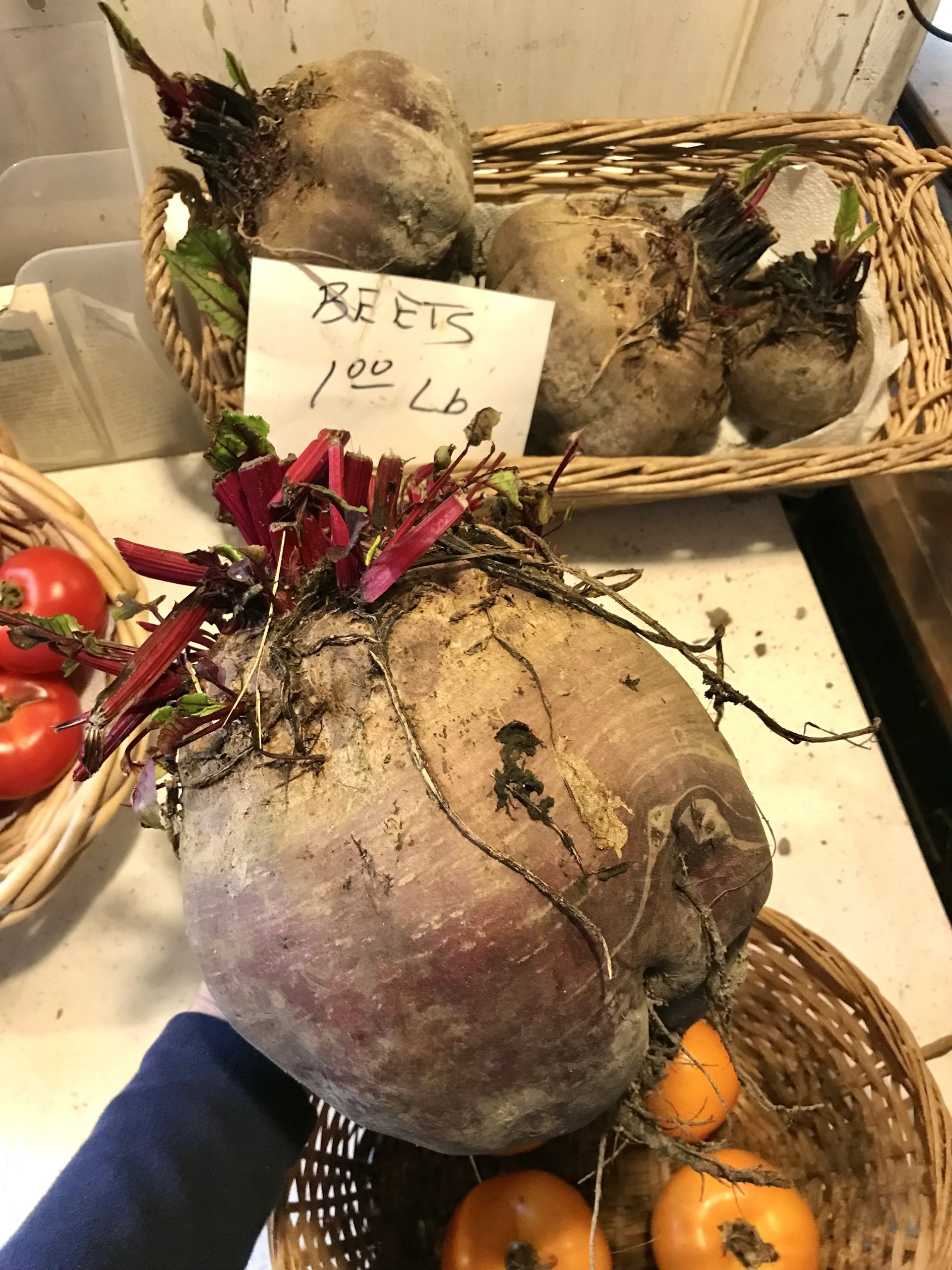 My Big List of Things I’m Going to Do in 2021 – Week 39 of 52