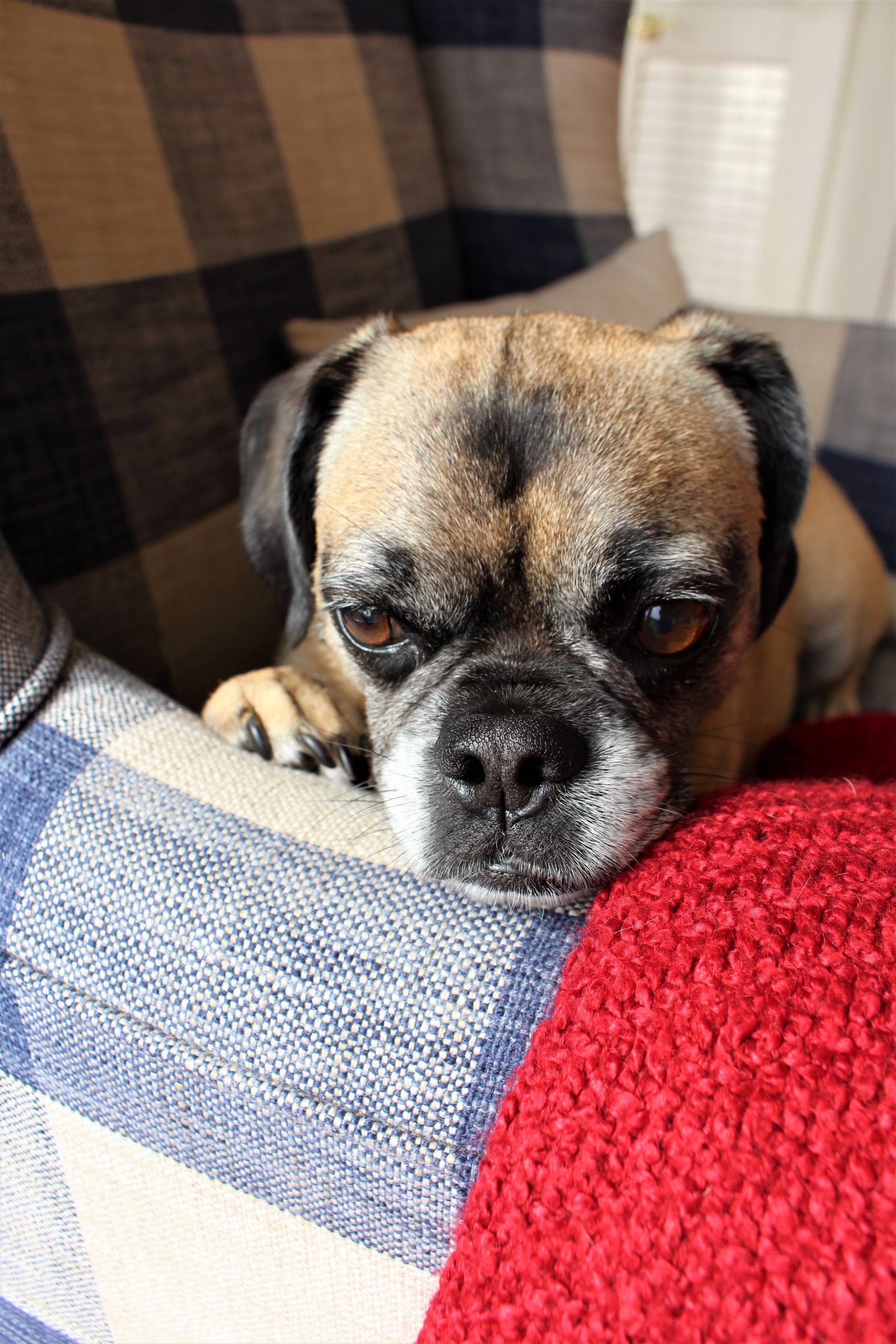 One Hundred Dollars a Month – Mavis’ Weekly Highlights 9/18/2021