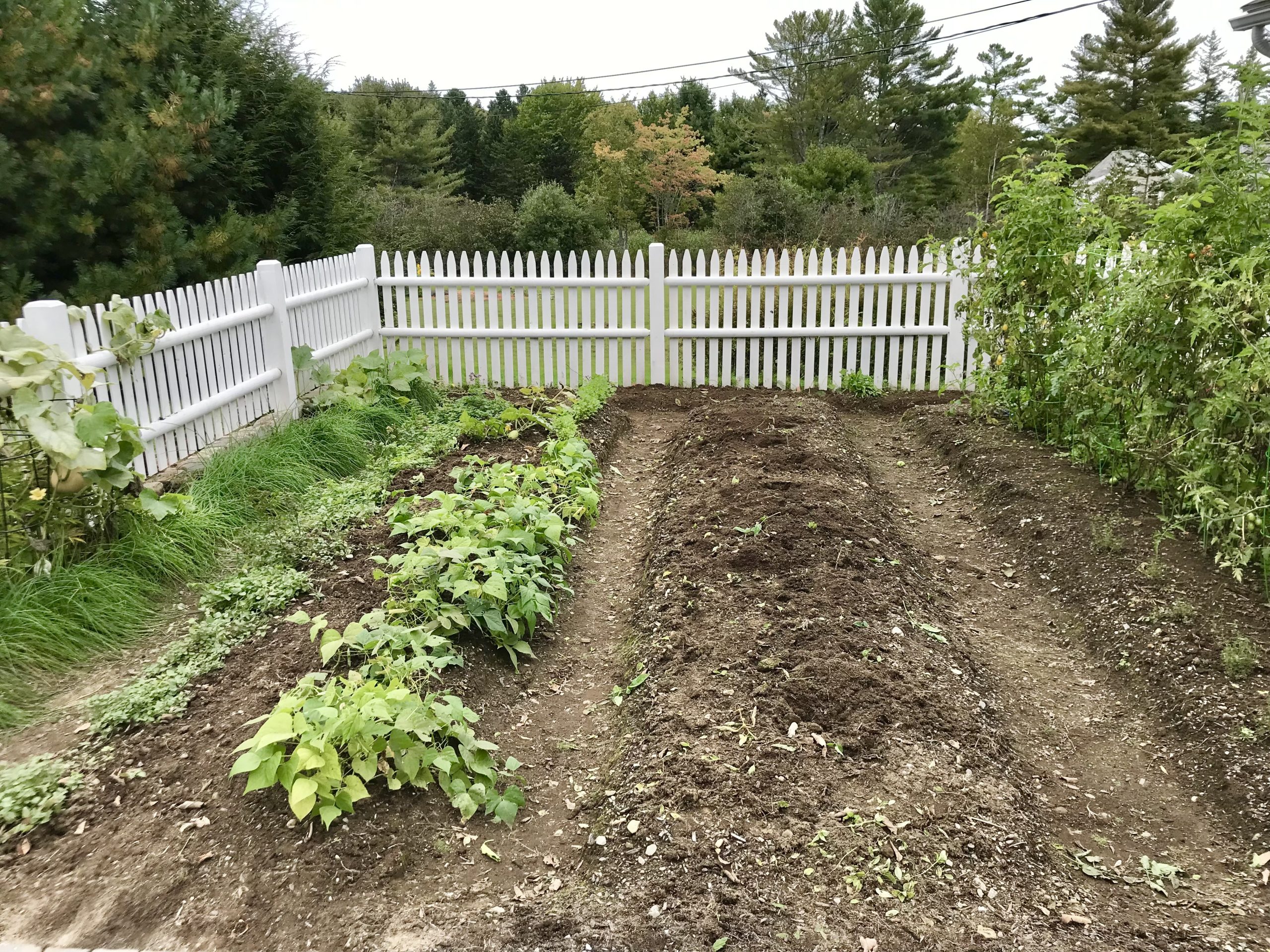 My Big List of Things I’m Going to Do in 2021 – Week 40 of 52