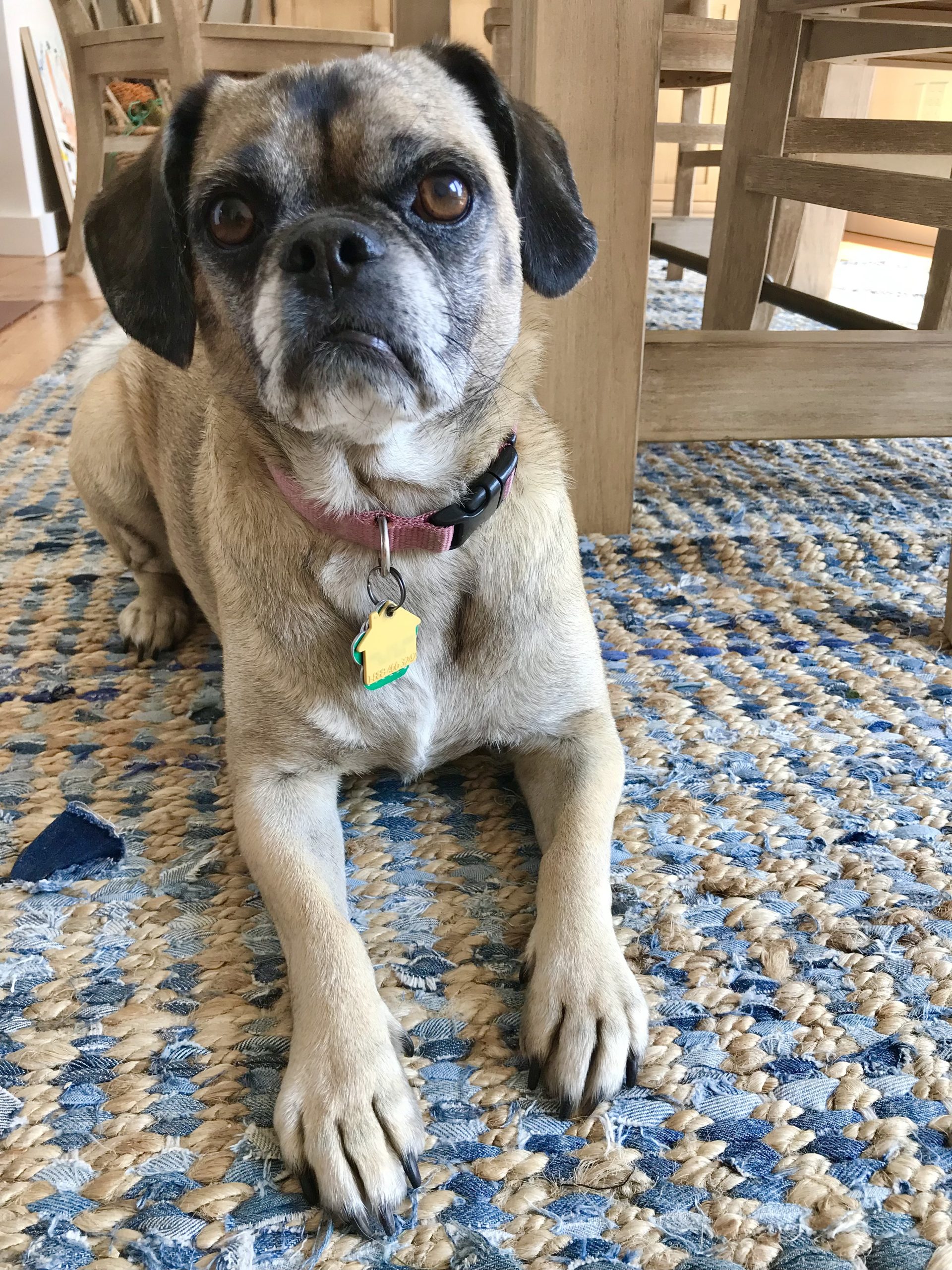 One Hundred Dollars a Month – Mavis’ Weekly Highlights 10/9/2021