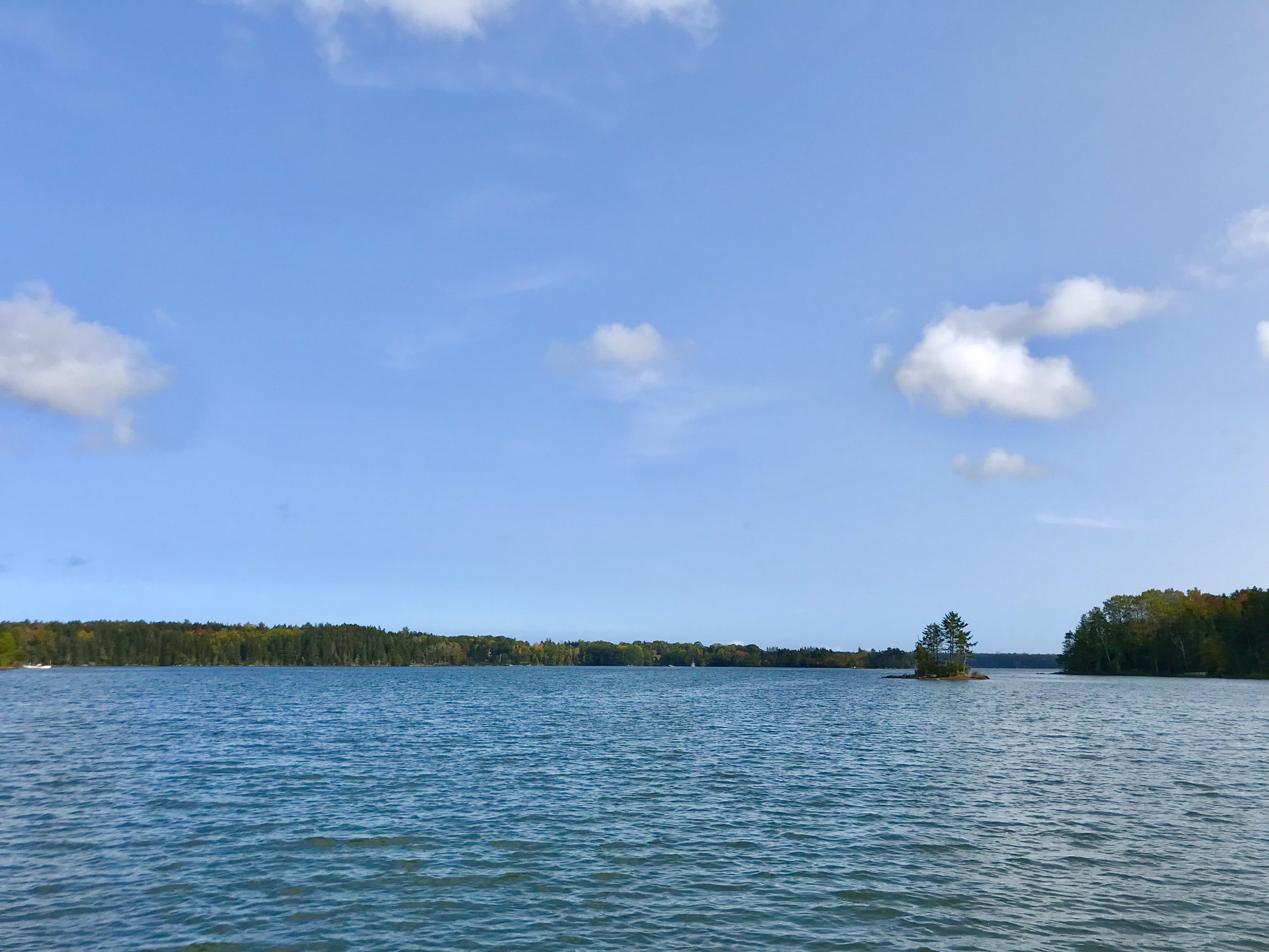 My Big List of Things I’m Going to Do in 2021 – Week 41 of 52