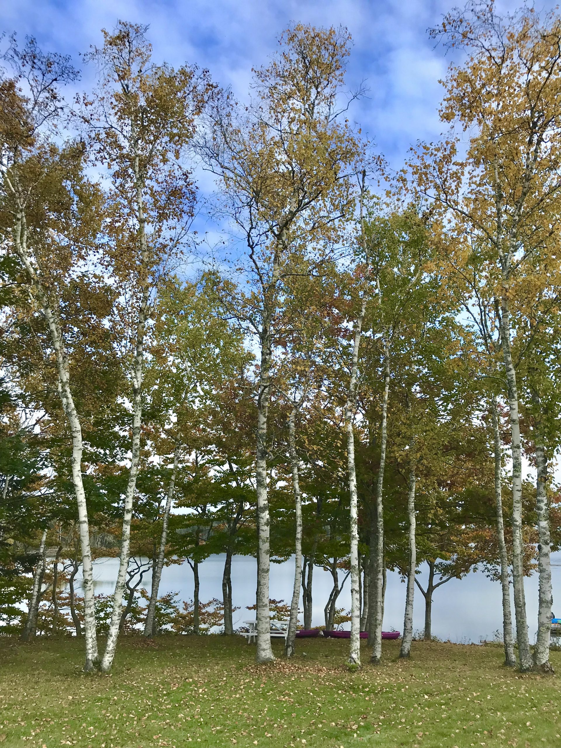 My Big List of Things I’m Going to Do in 2021 – Week 43 of 52