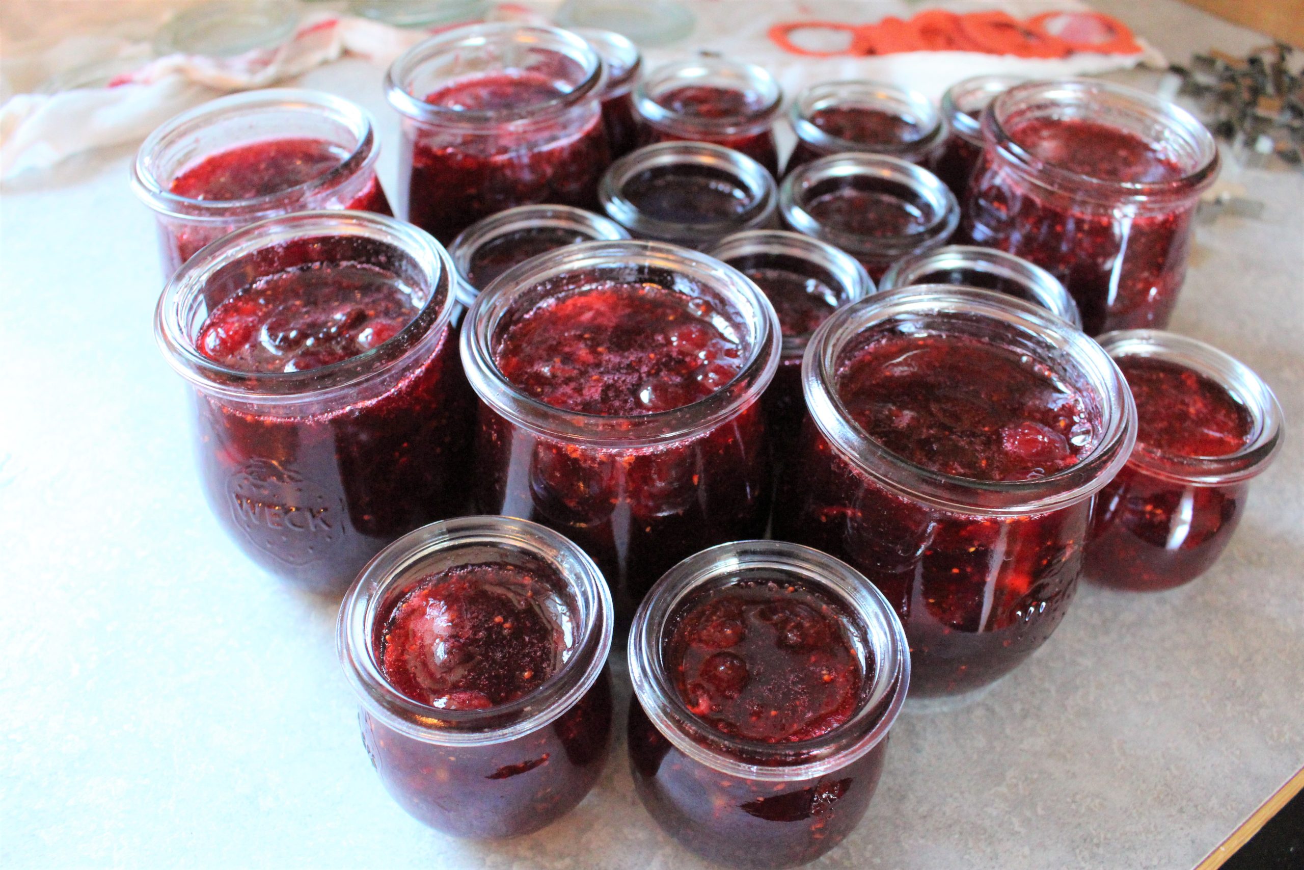 How Much We Spent On Groceries And Meals We Ate Week 48 of 52