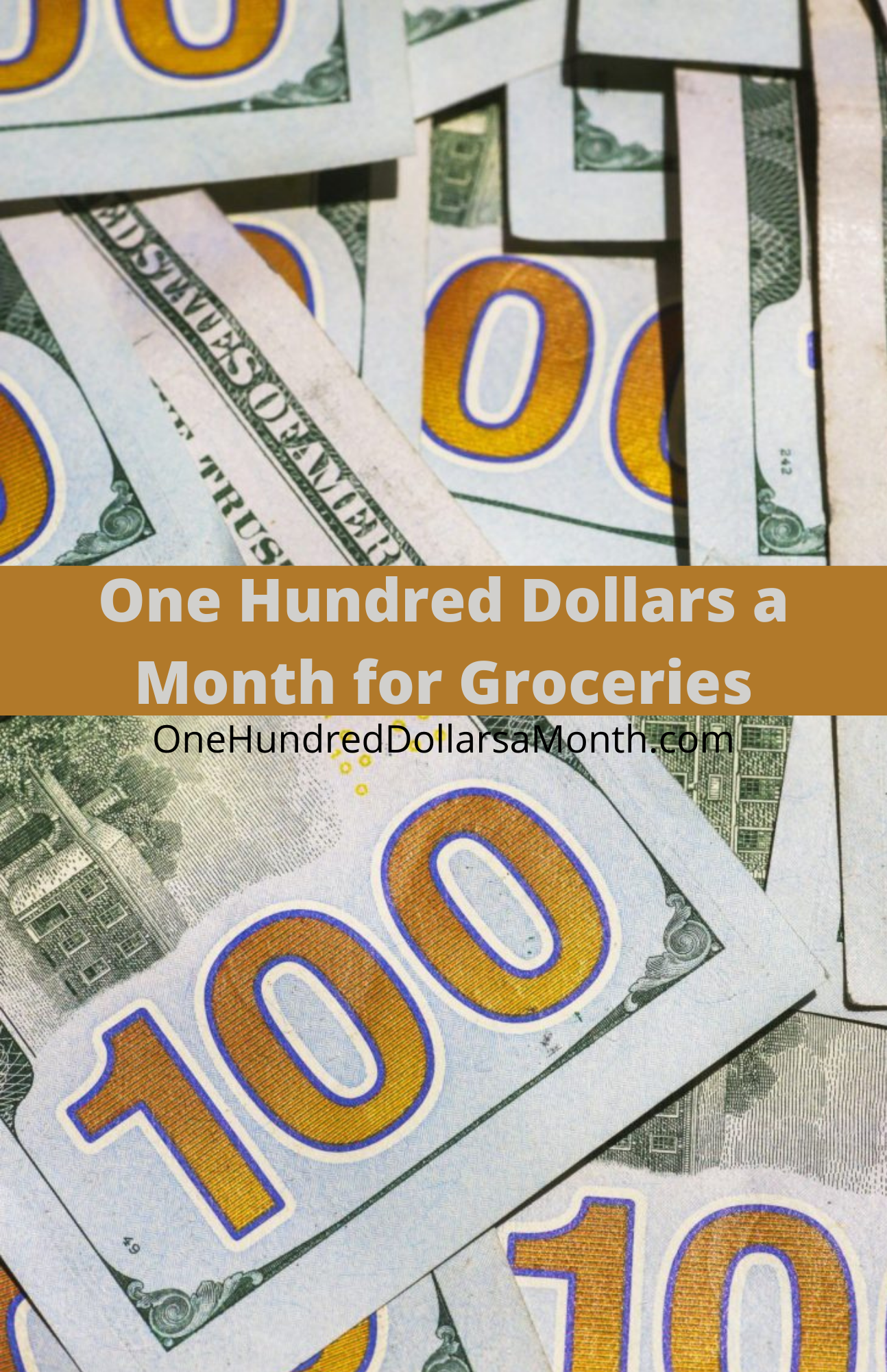 $100 a Month For Groceries – Week 2 of 52