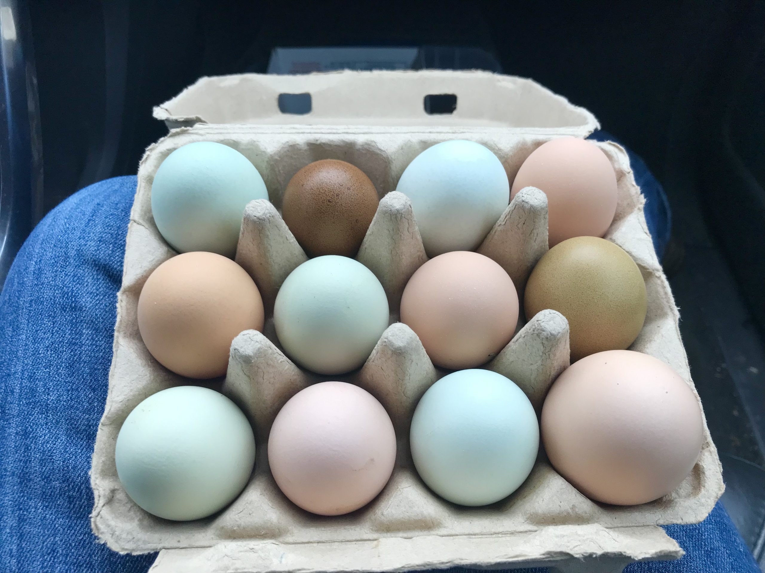 Why Are Eggs Sold By The Dozen?
