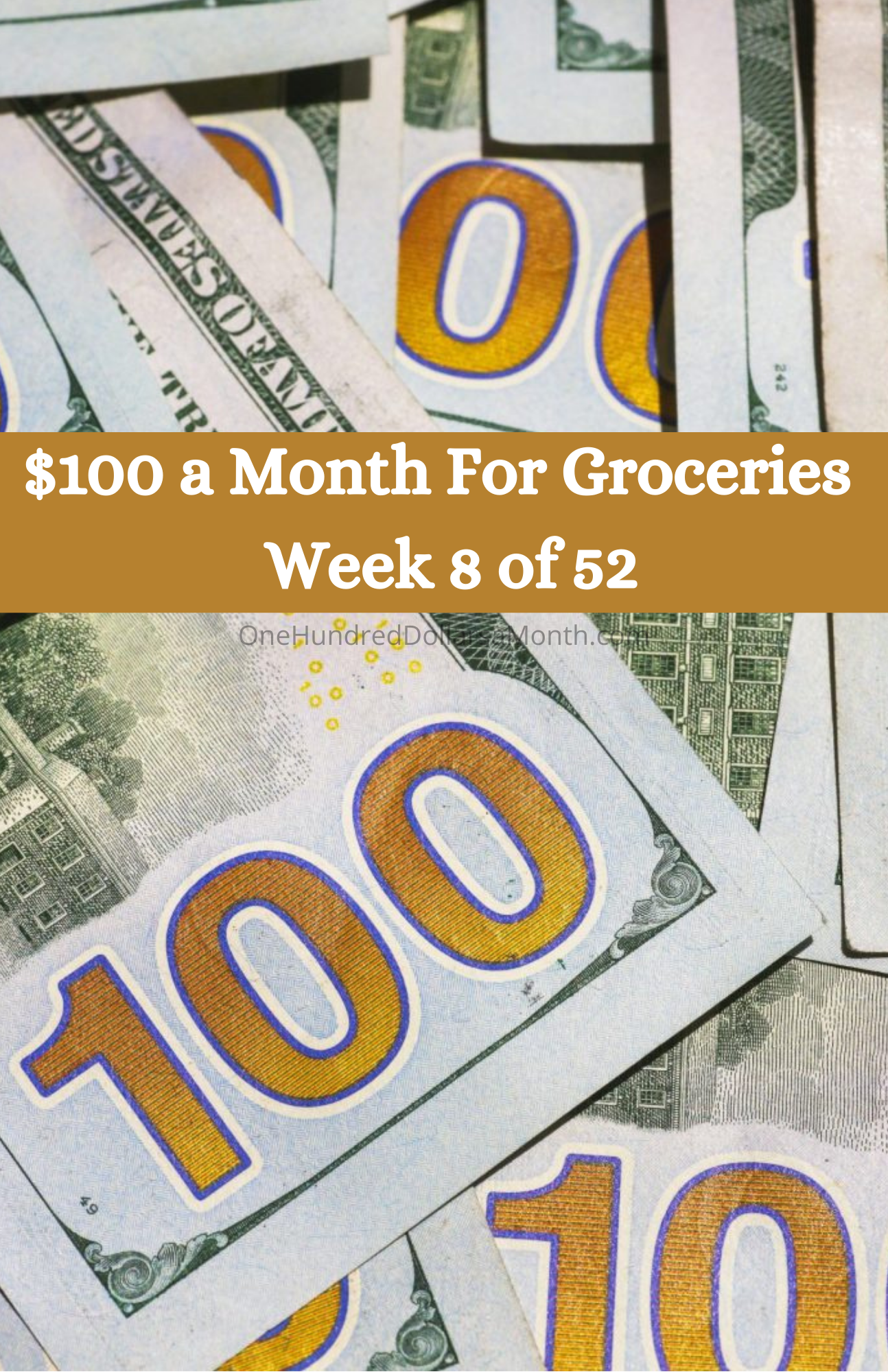 $100 a Month For Groceries – Week 8 of 52