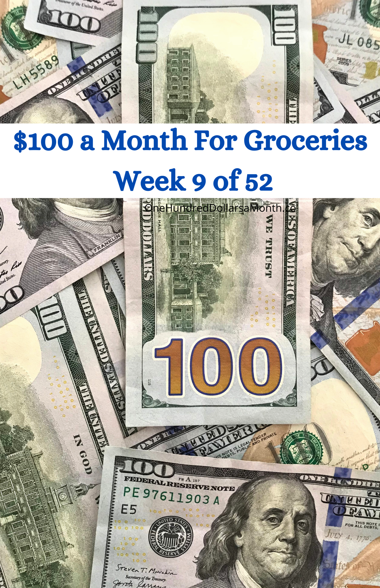 $100 a Month For Groceries – Week 9 of 52
