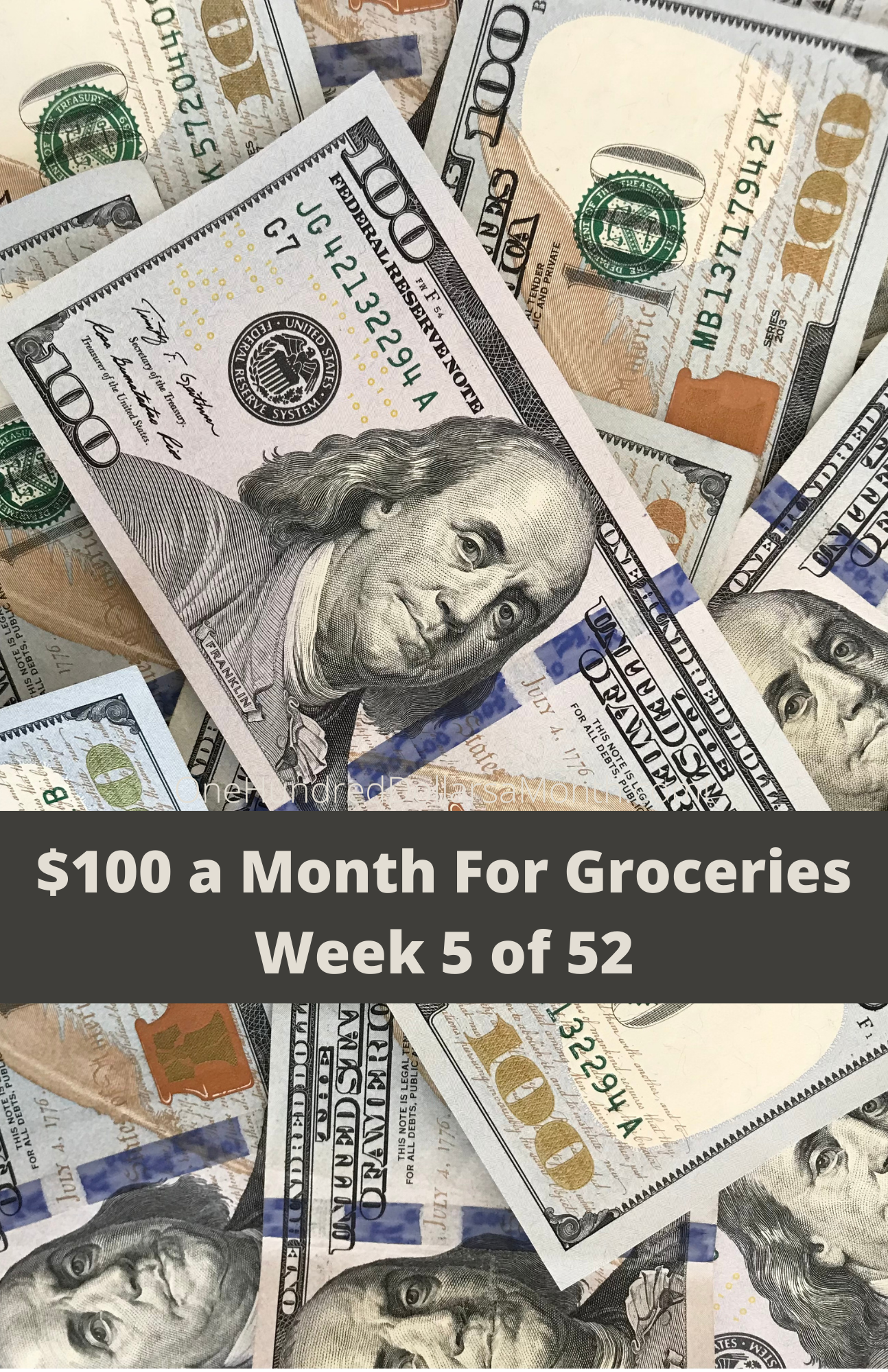 $100 a Month For Groceries – Week 5 of 52