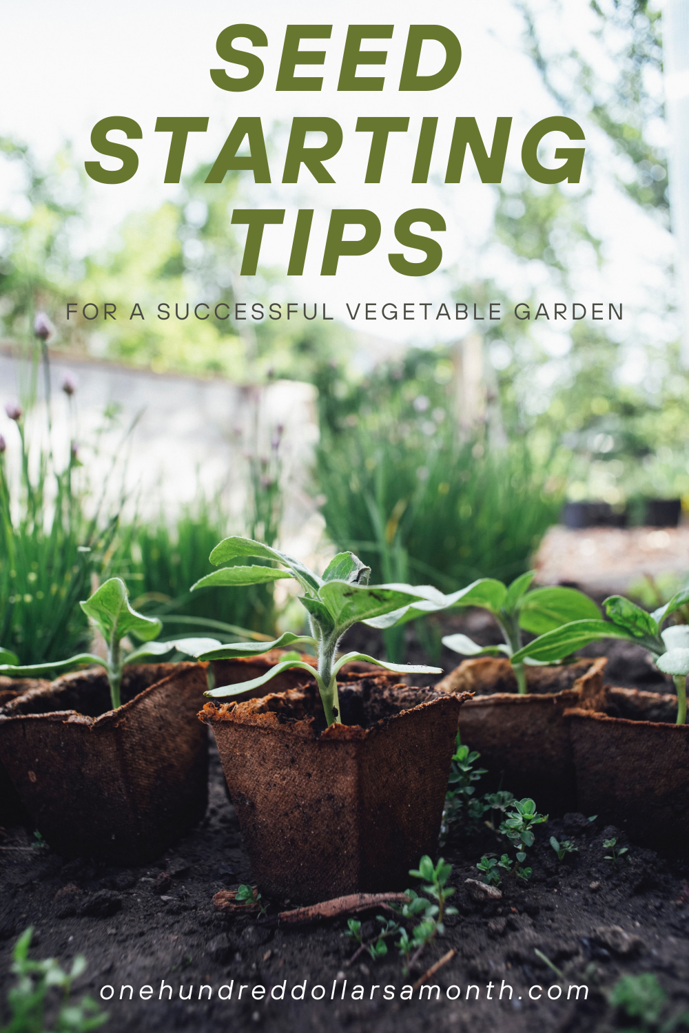 Seed Starting Tips For a Successful Vegetable Garden