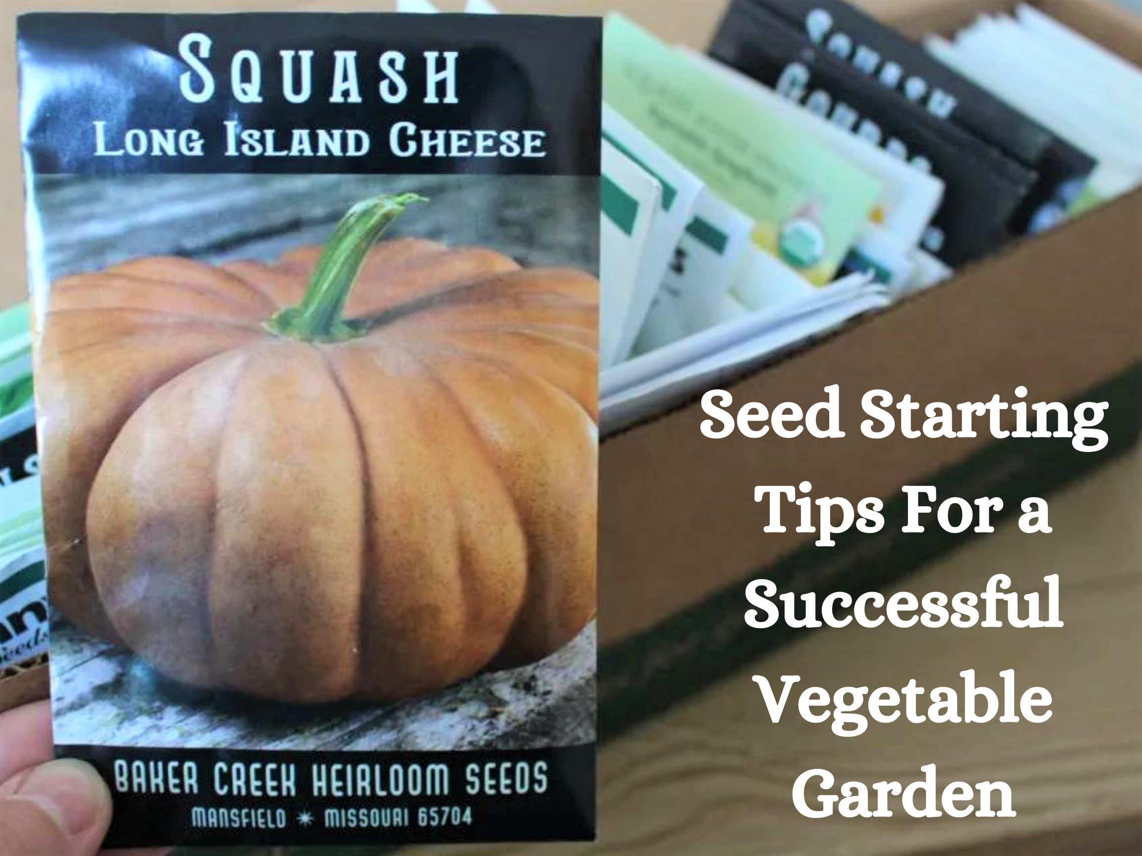 Seed Starting Tips For a Successful Vegetable Garden