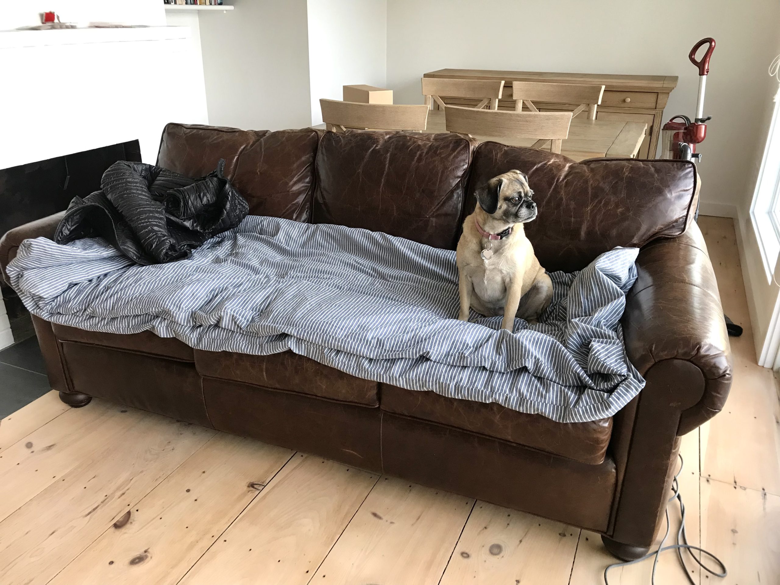 Bits and Bobs for April 2022