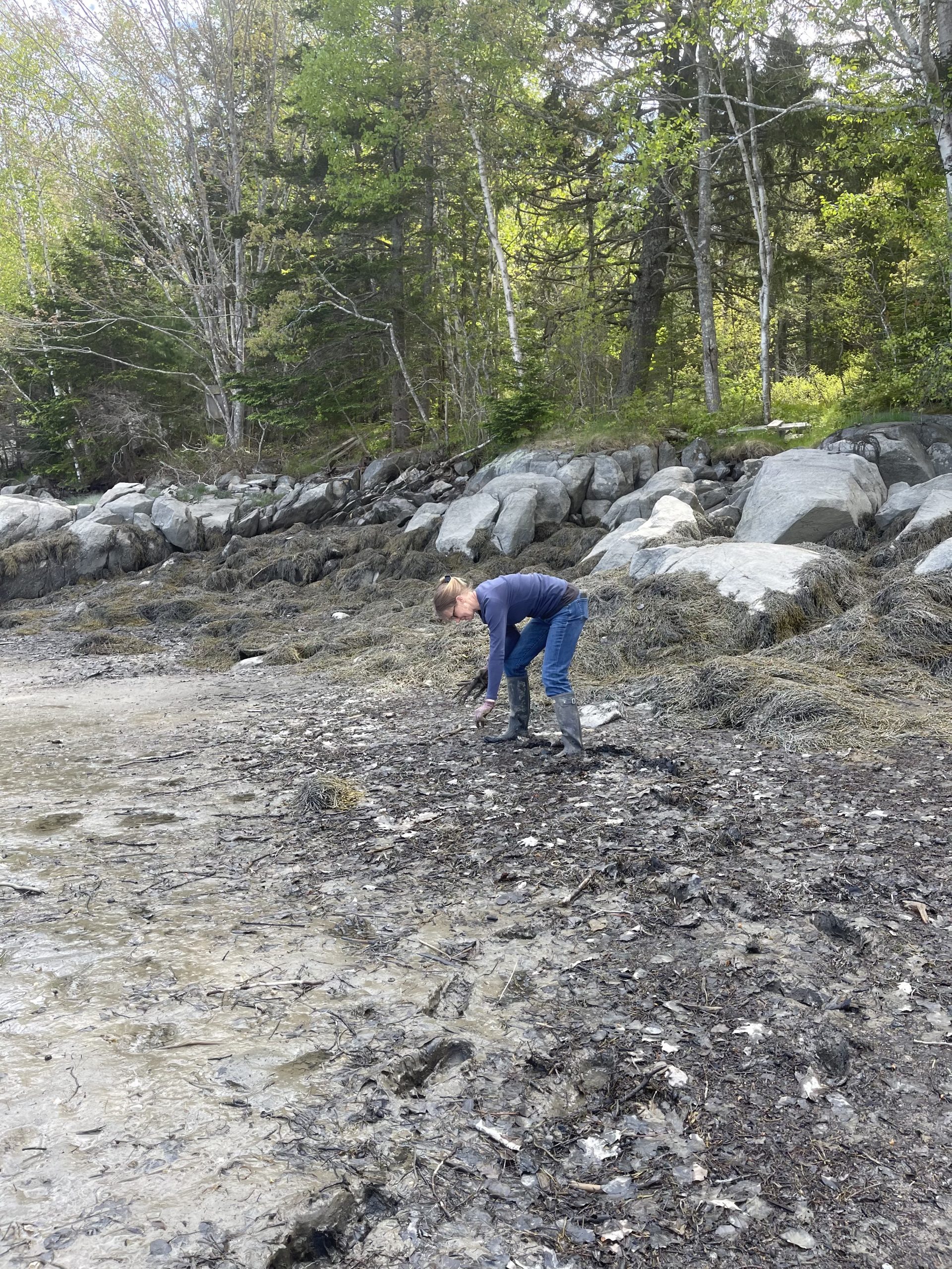 The Annual Beach Clean Up