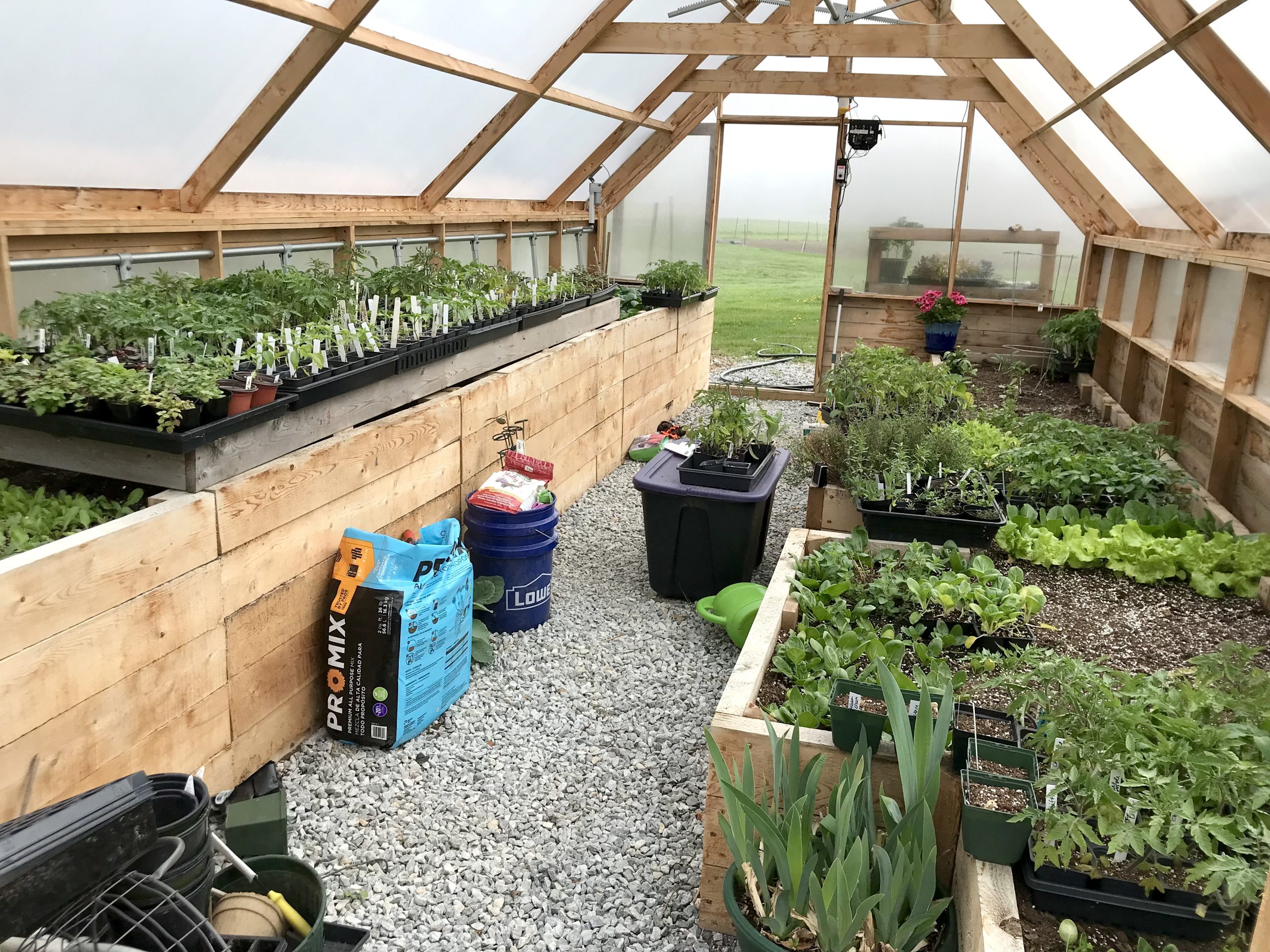 Greenhouse Envy