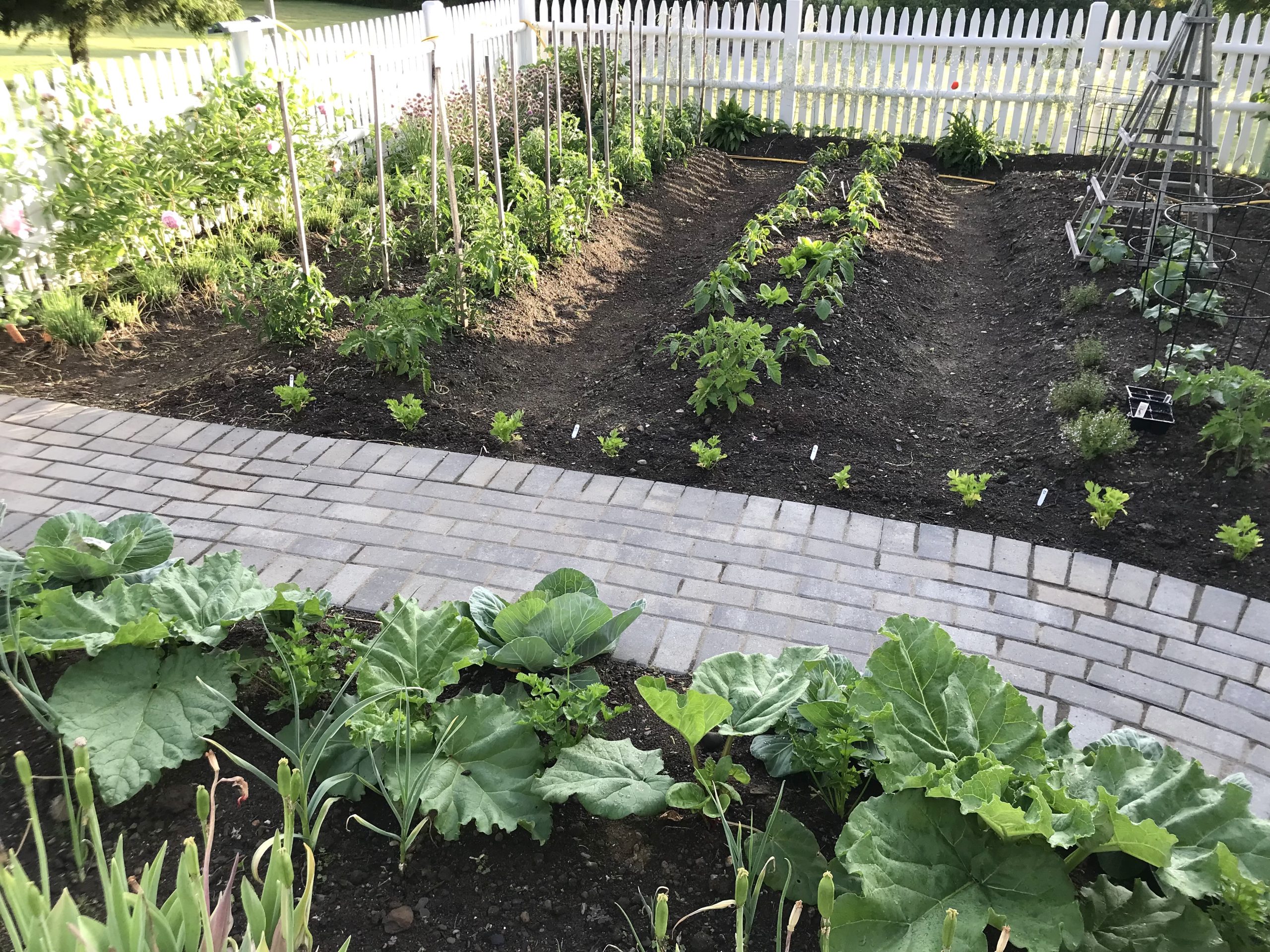 Gardening in Coastal Maine – Planting Zone 6a – The Kitchen Garden