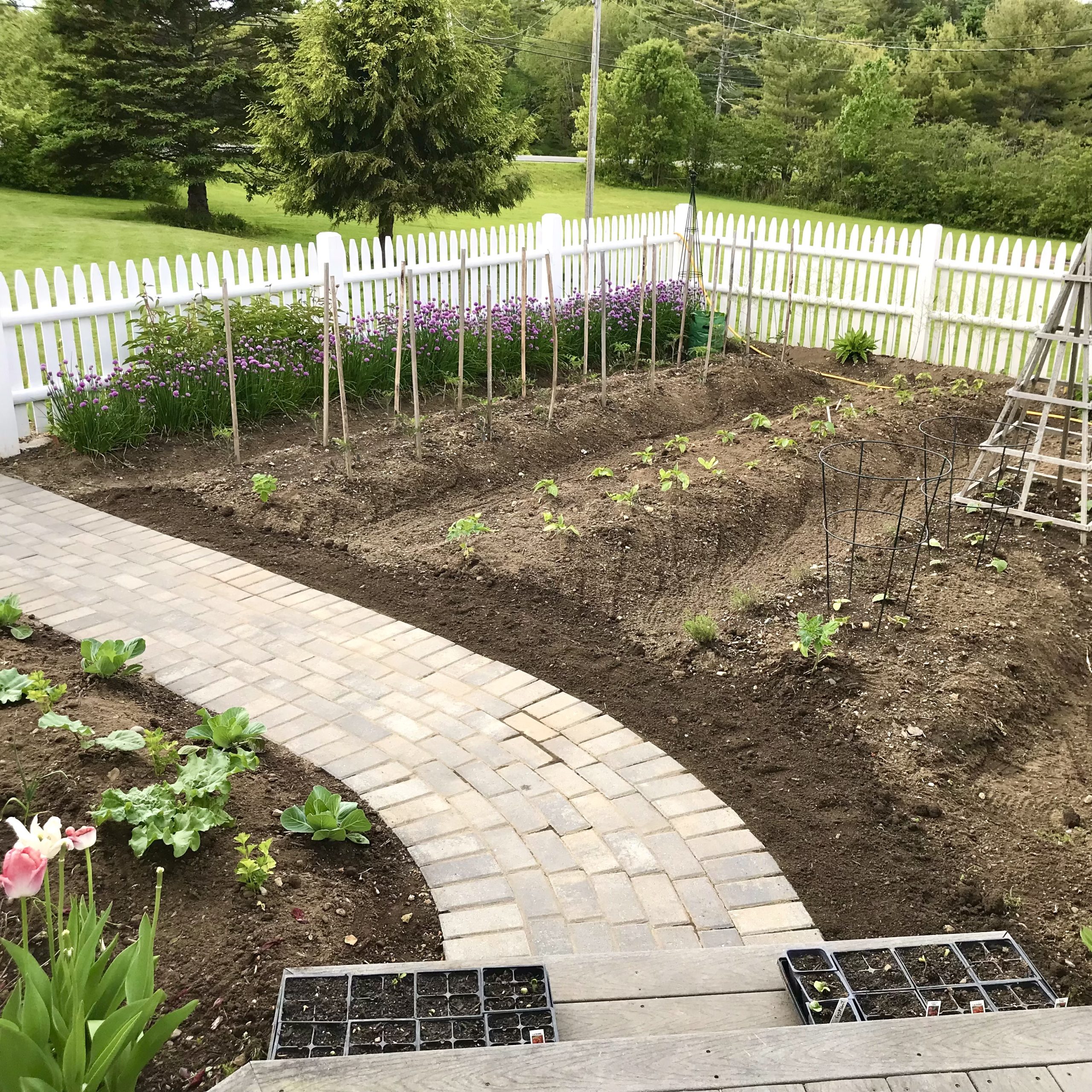 Gardening in Coastal Maine – Planting Zone 6a- Early June
