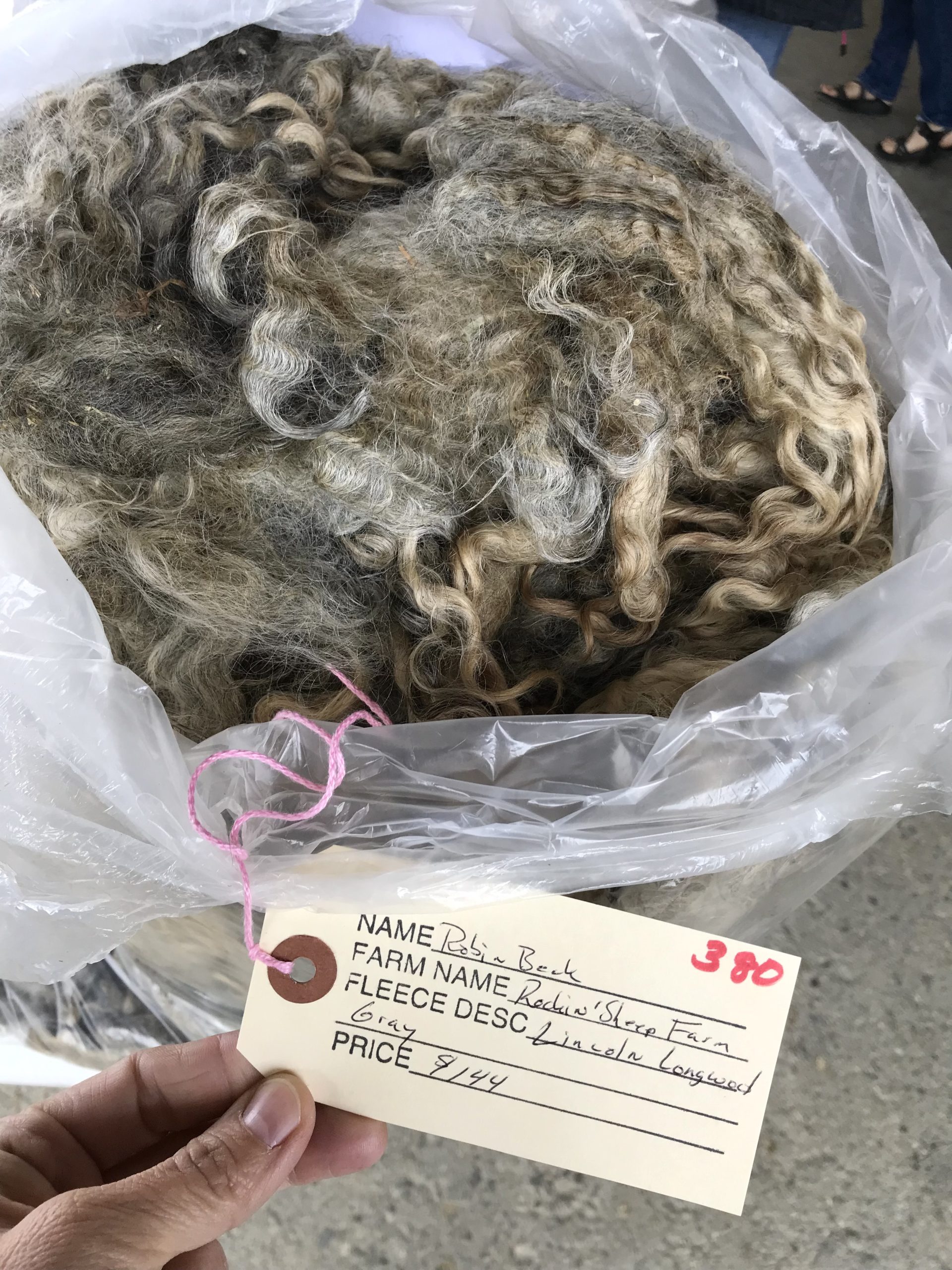 Maine Fiber Frolic