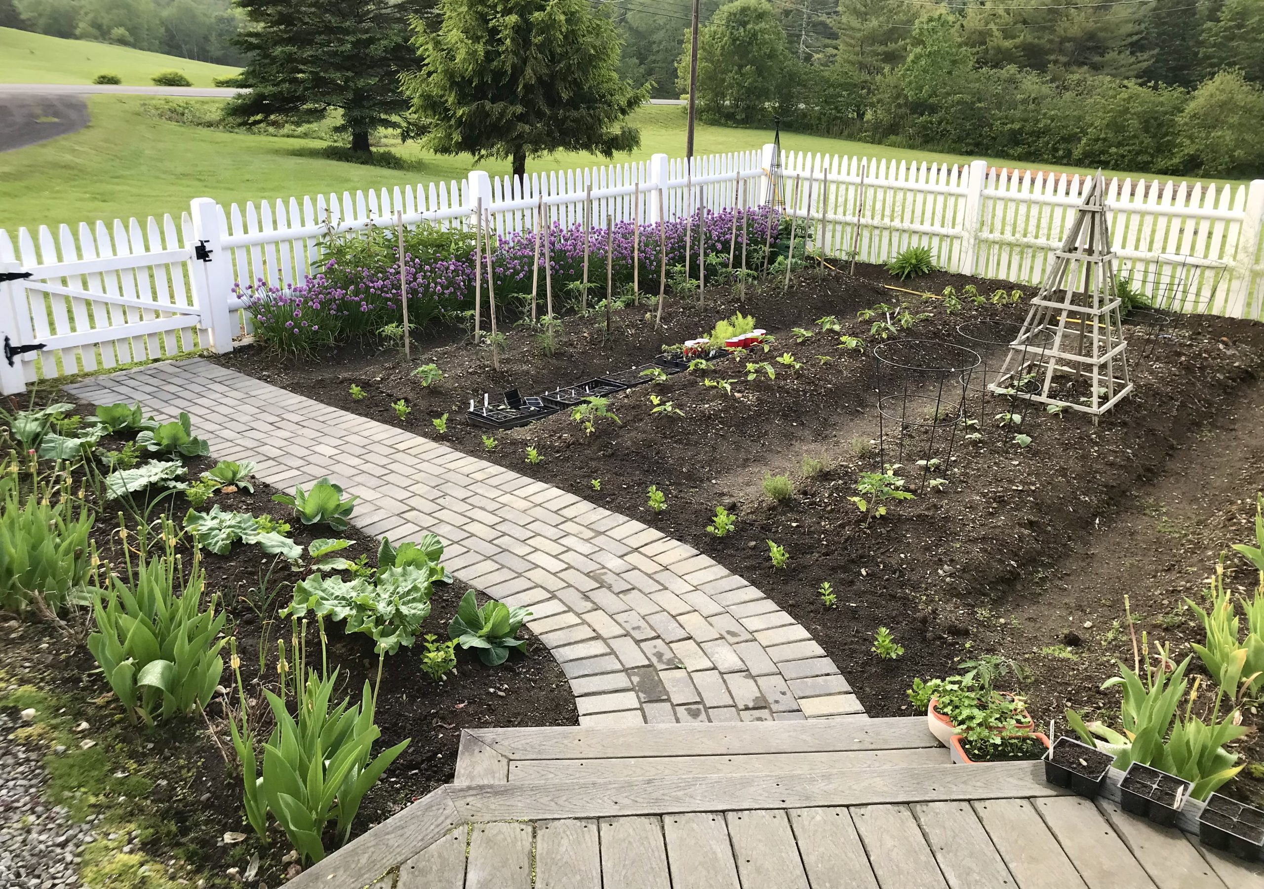 Gardening in Coastal Maine – Planting Zone 6a – Mid June