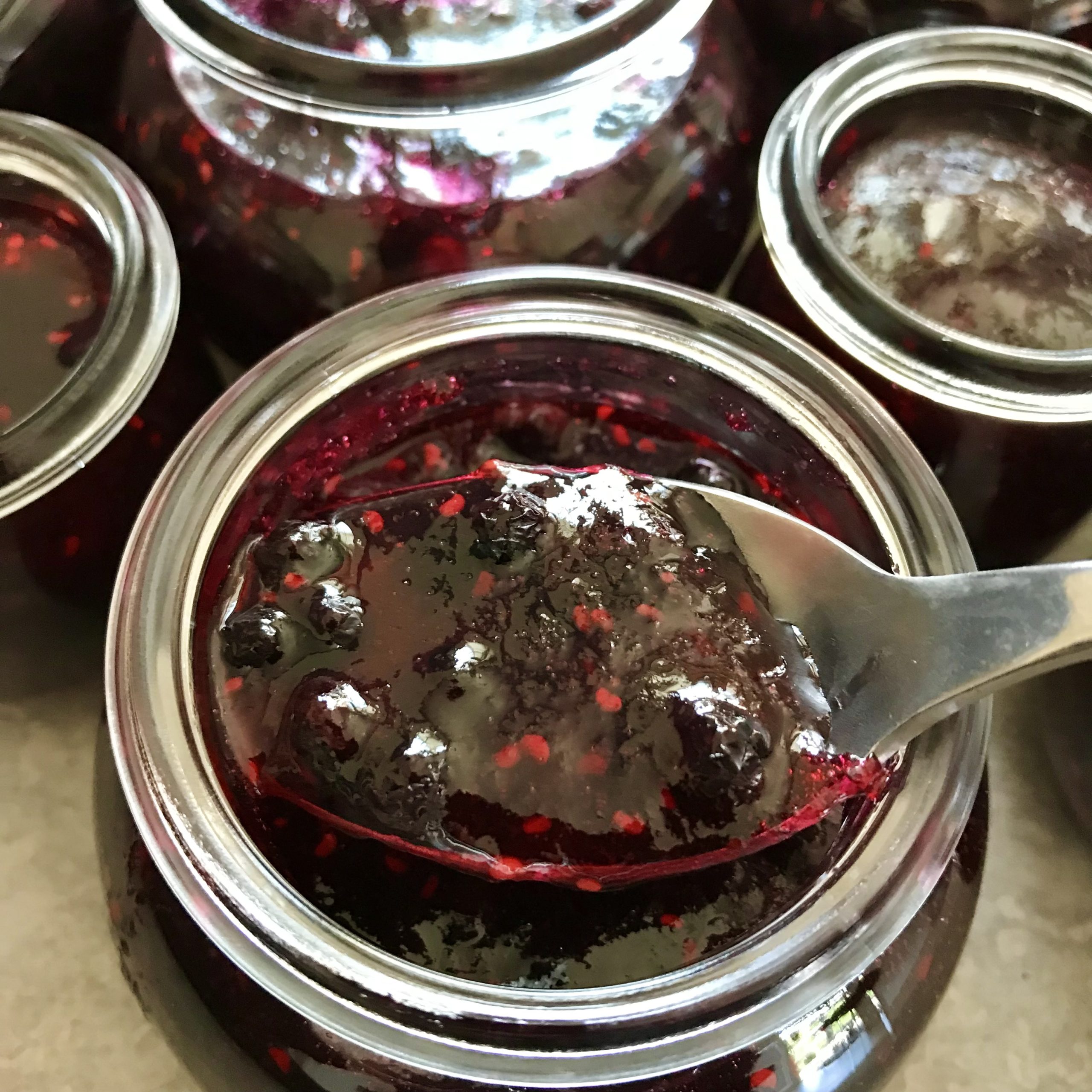 Blueberry Jam Recipes