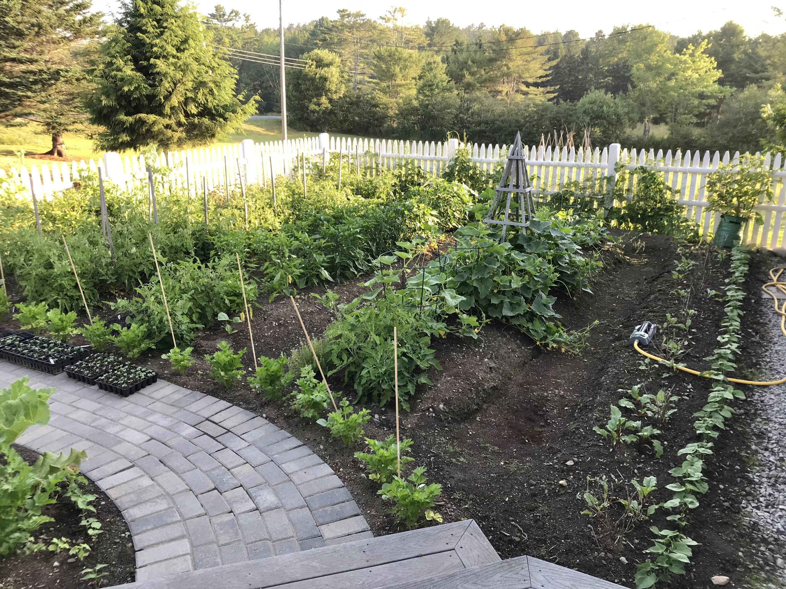 Gardening in Coastal Maine – Planting Zone 6a – July