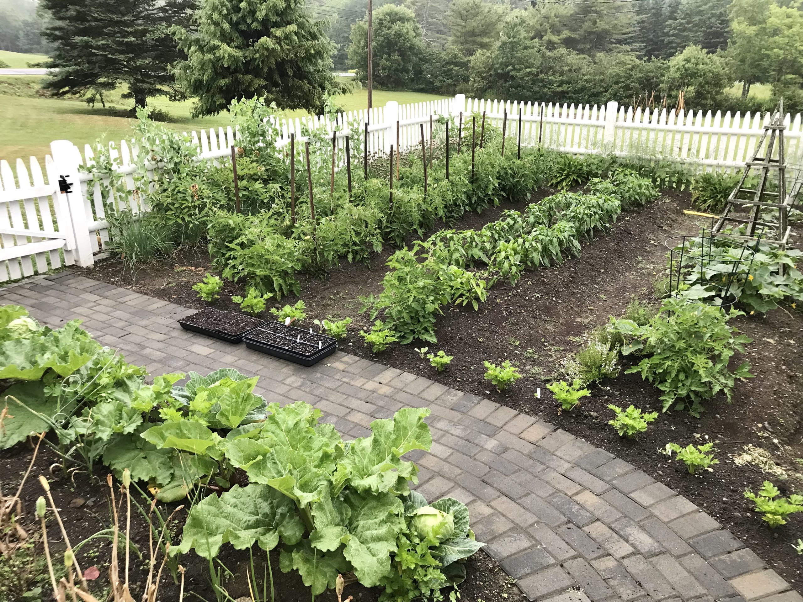 Gardening in Coastal Maine – Planting Zone 6a – Early July