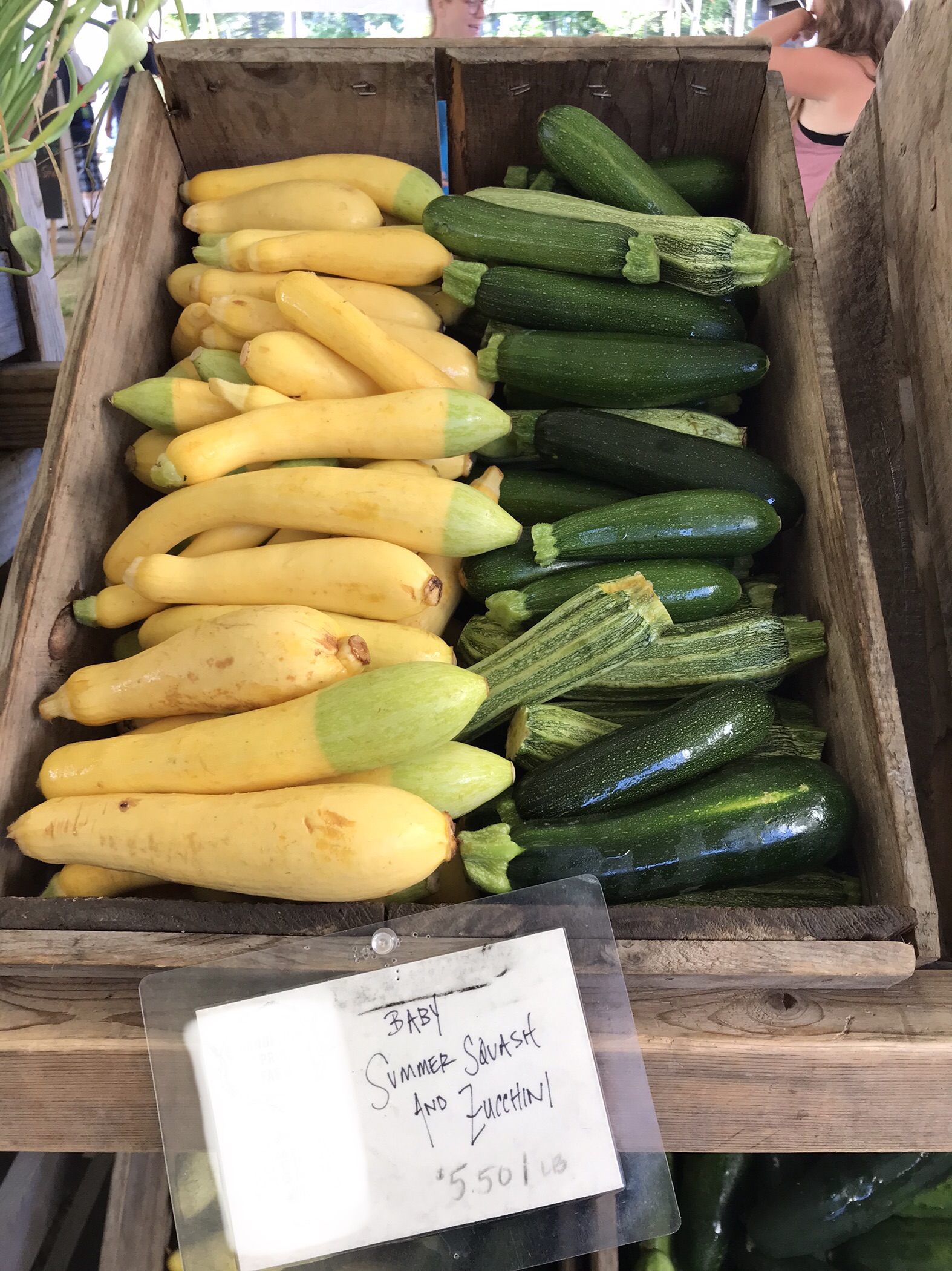 How Much Would You Pay For a Pound of Zucchini?