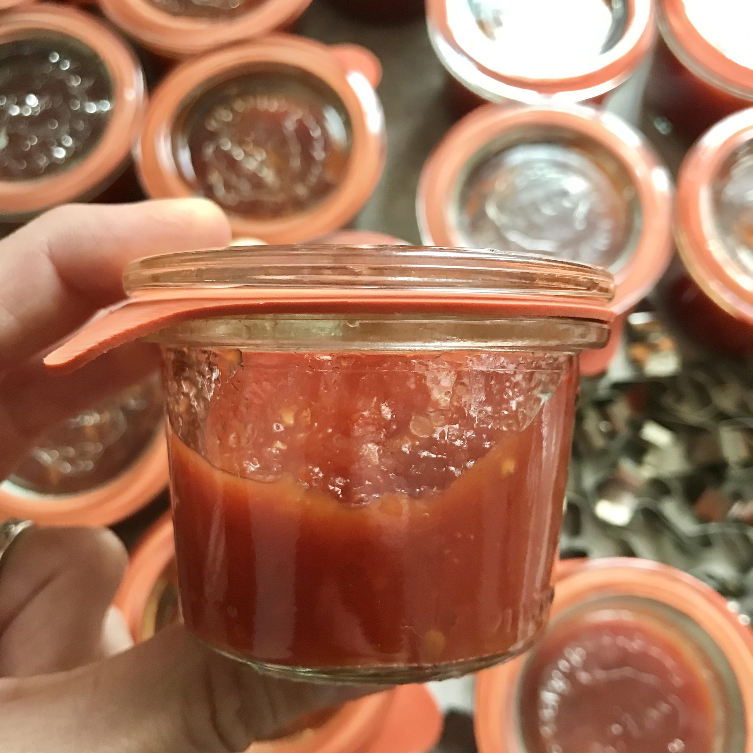 Tomato Ketchup Recipe for Canning