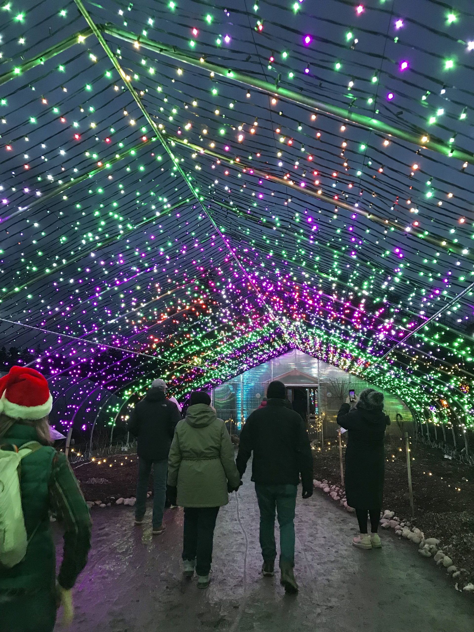 Gardens Aglow at Coastal Maine Botanical Gardens