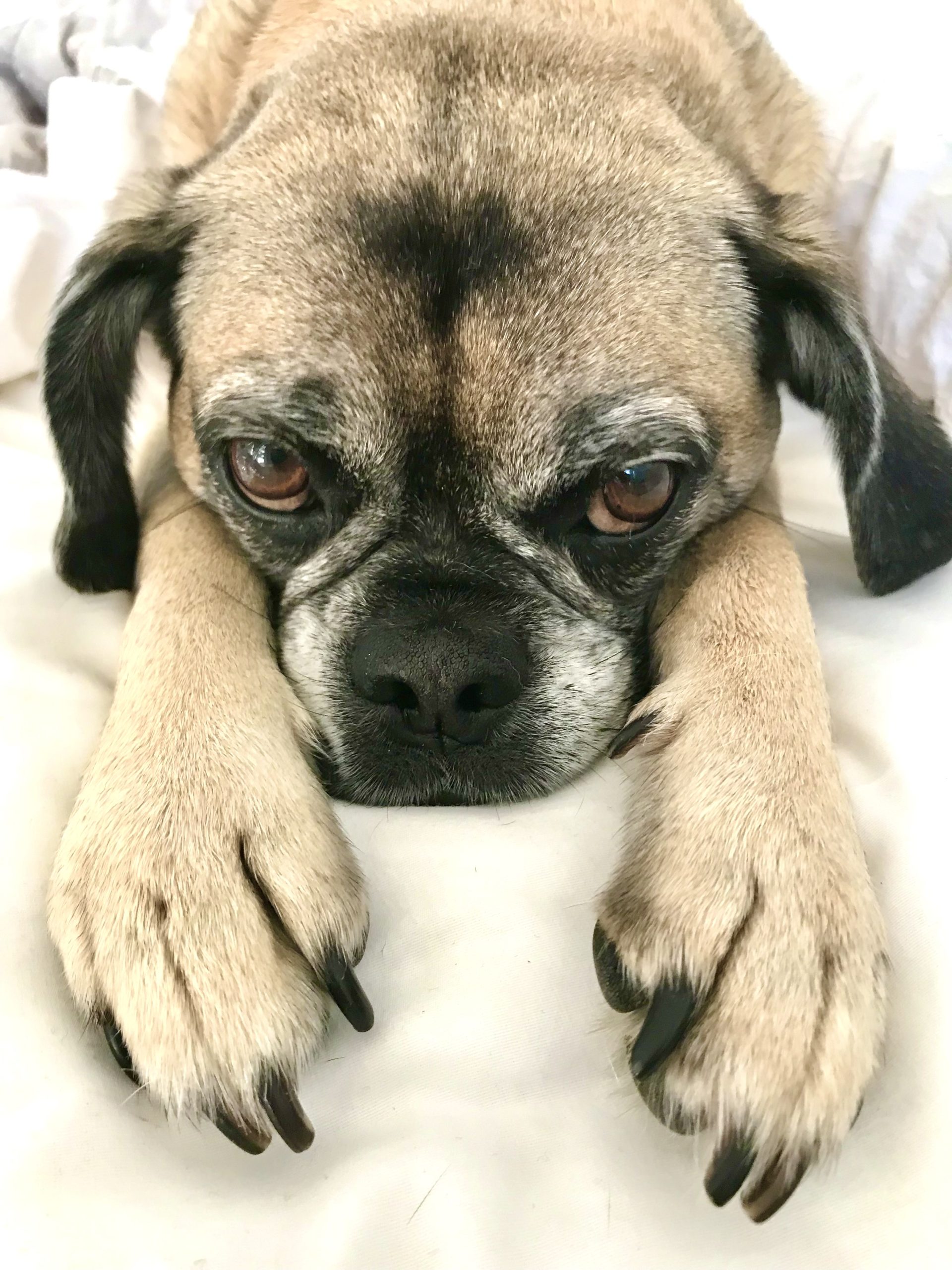 Today Has Been Canceled. Everyone Go Back To Bed