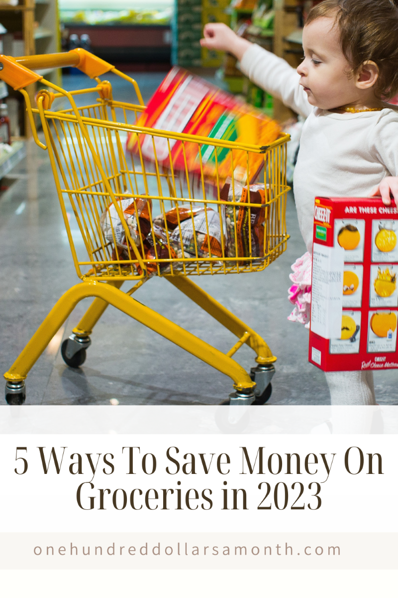 5 Ways To Save Money On Groceries in 2023